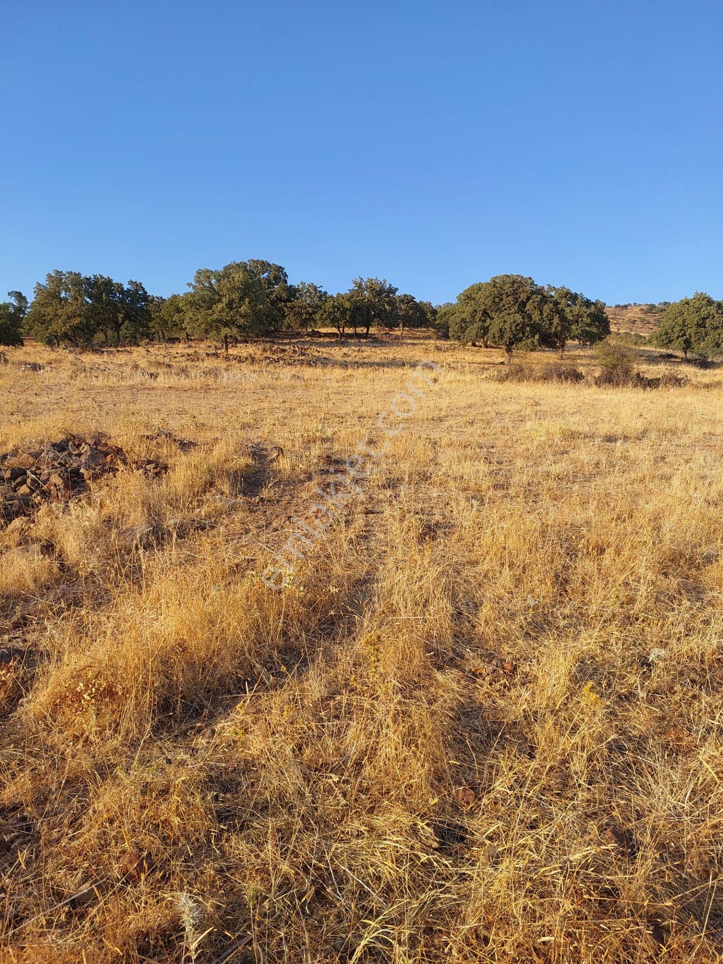 İzmir Dikili Kızılçukurda Satılık Muhteşem Deniz Manzaralı Tarla - Görsel 12