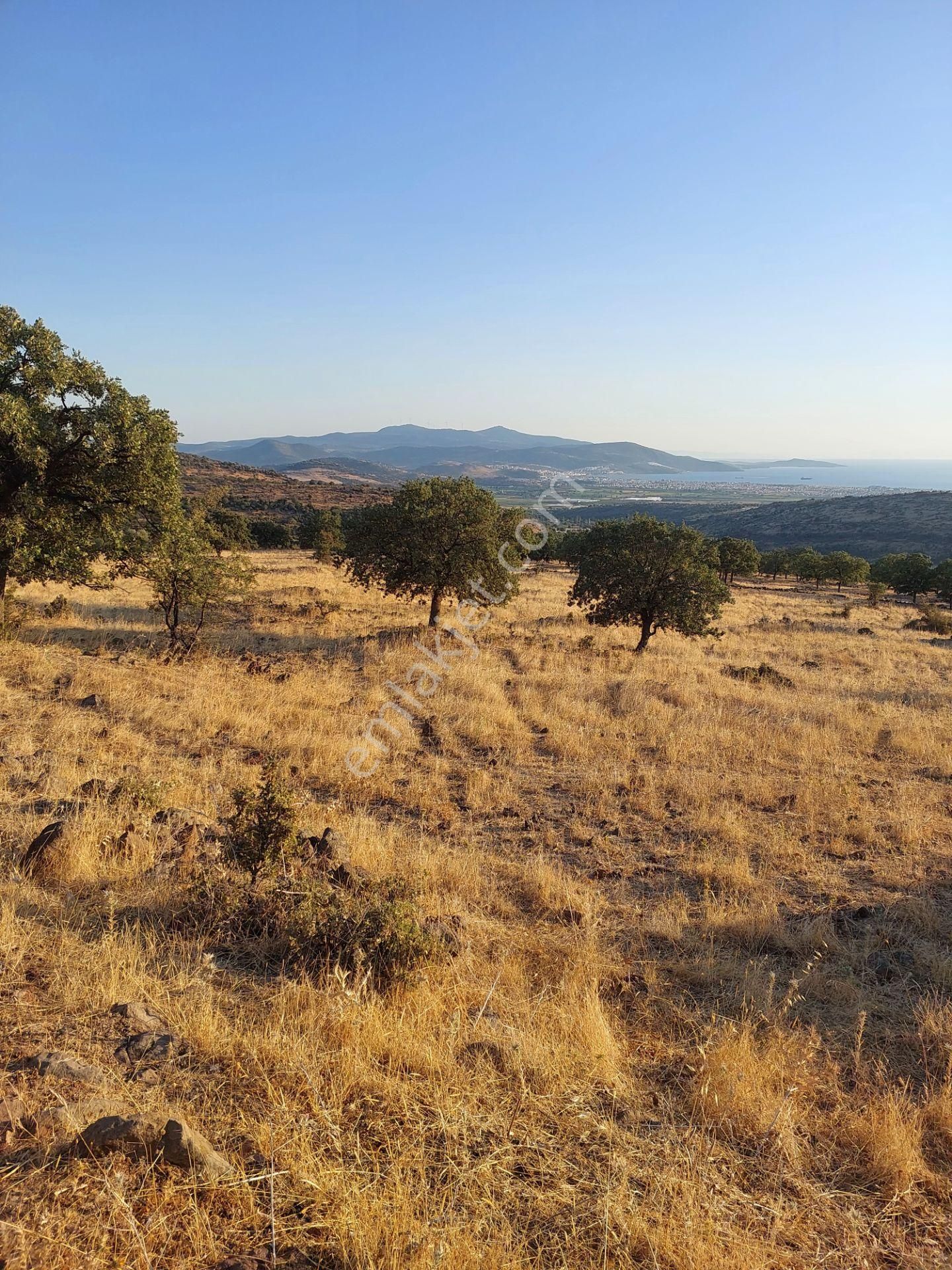 İzmir Dikili Kızılçukurda Satılık Muhteşem Deniz Manzaralı Tarla - Görsel 15