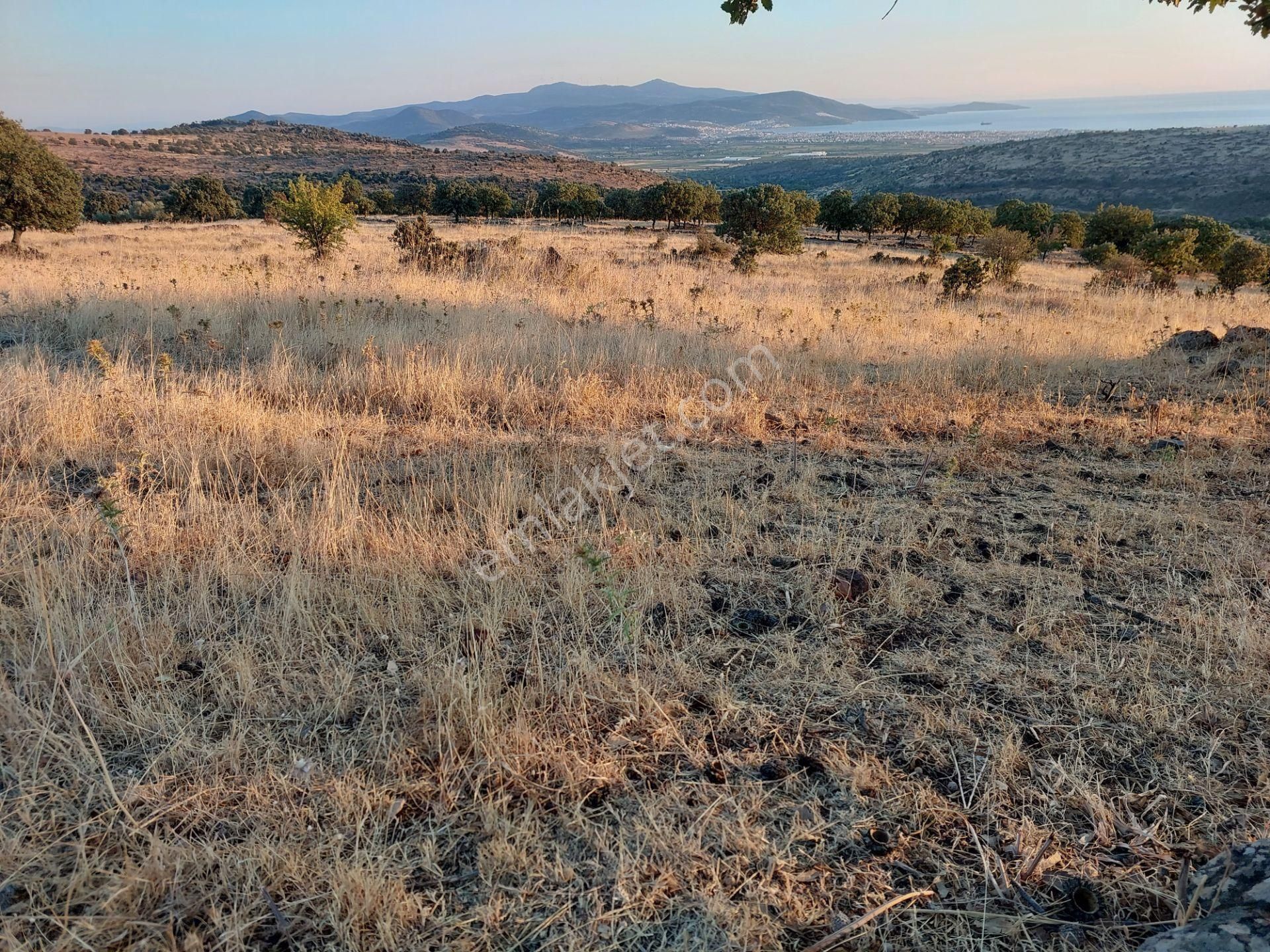 İzmir Dikili Kızılçukurda Satılık Muhteşem Deniz Manzaralı Tarla - Görsel 28
