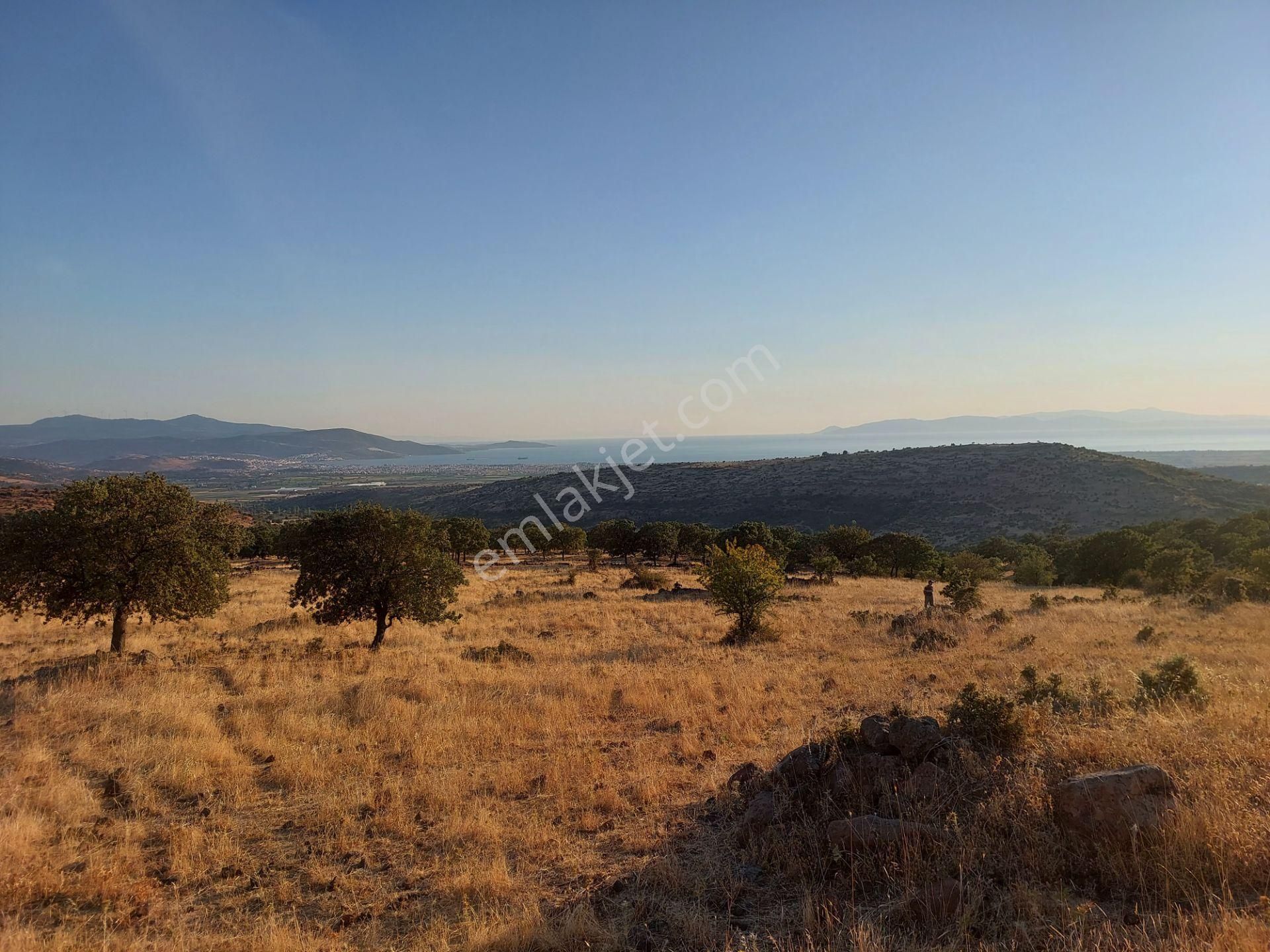 İzmir Dikili Kızılçukurda Satılık Muhteşem Deniz Manzaralı Tarla - Görsel 2