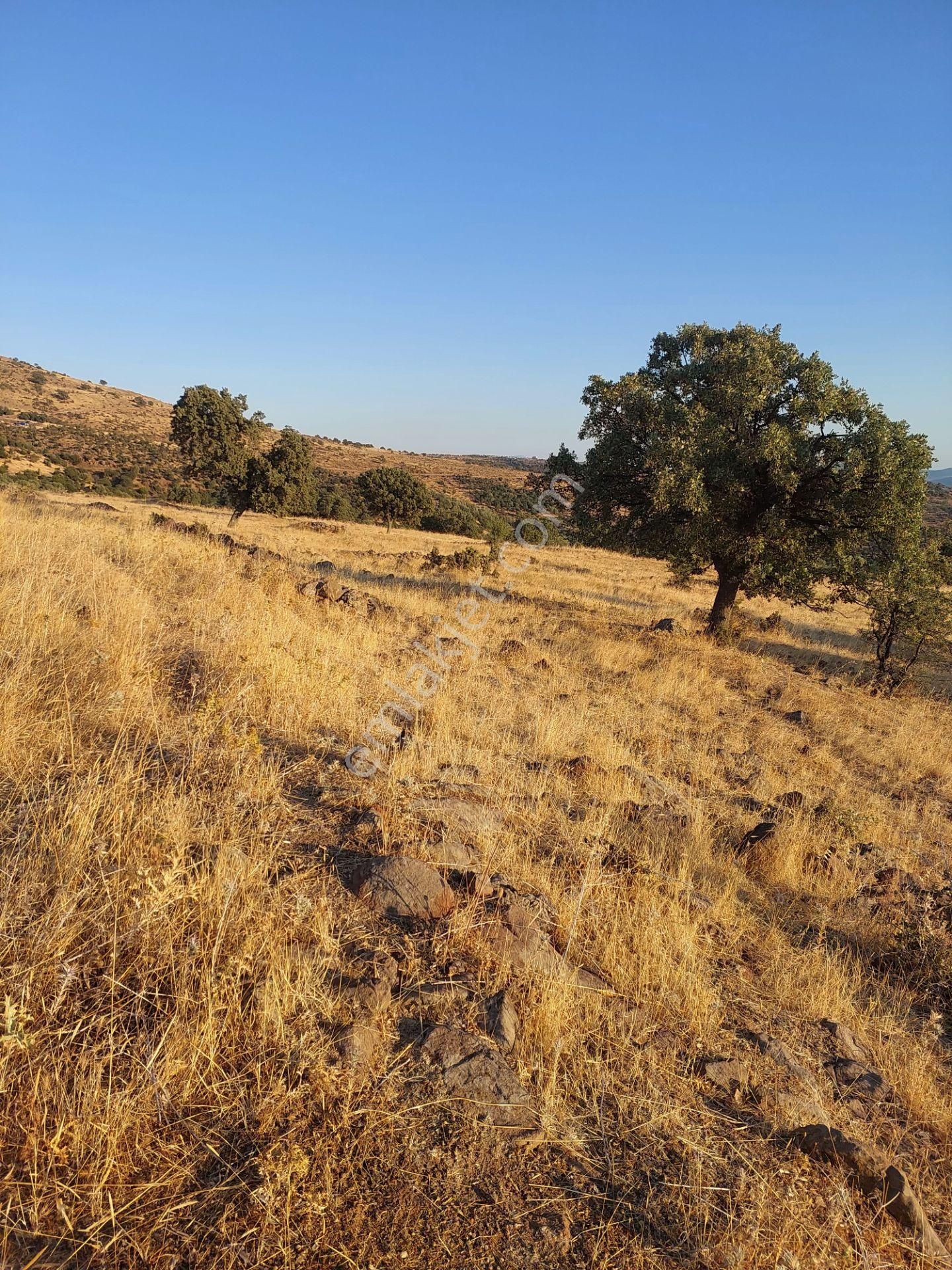 İzmir Dikili Kızılçukurda Satılık Muhteşem Deniz Manzaralı Tarla - Görsel 14