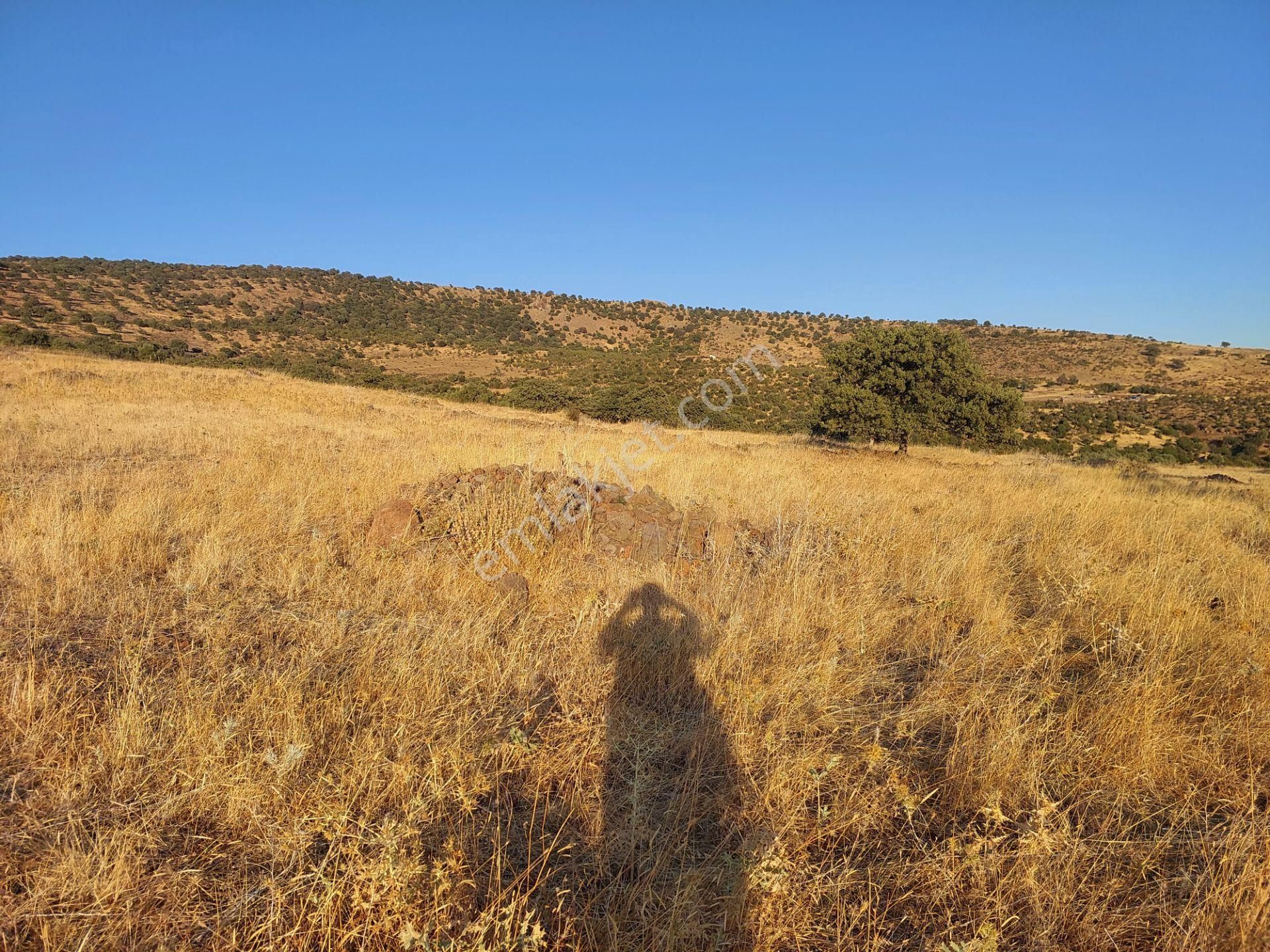 İzmir Dikili Kızılçukurda Satılık Muhteşem Deniz Manzaralı Tarla - Görsel 6