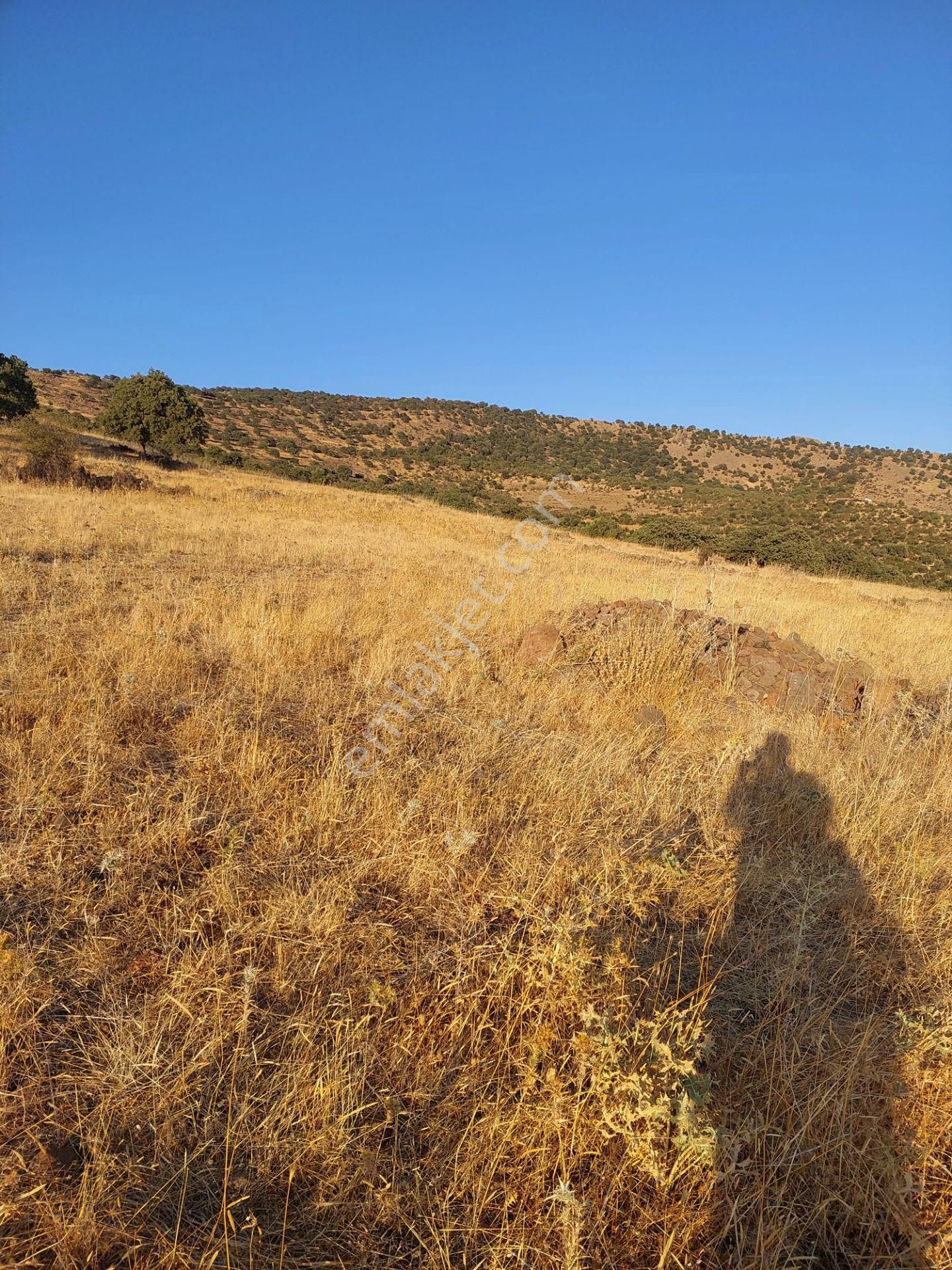 İzmir Dikili Kızılçukurda Satılık Muhteşem Deniz Manzaralı Tarla - Görsel 13