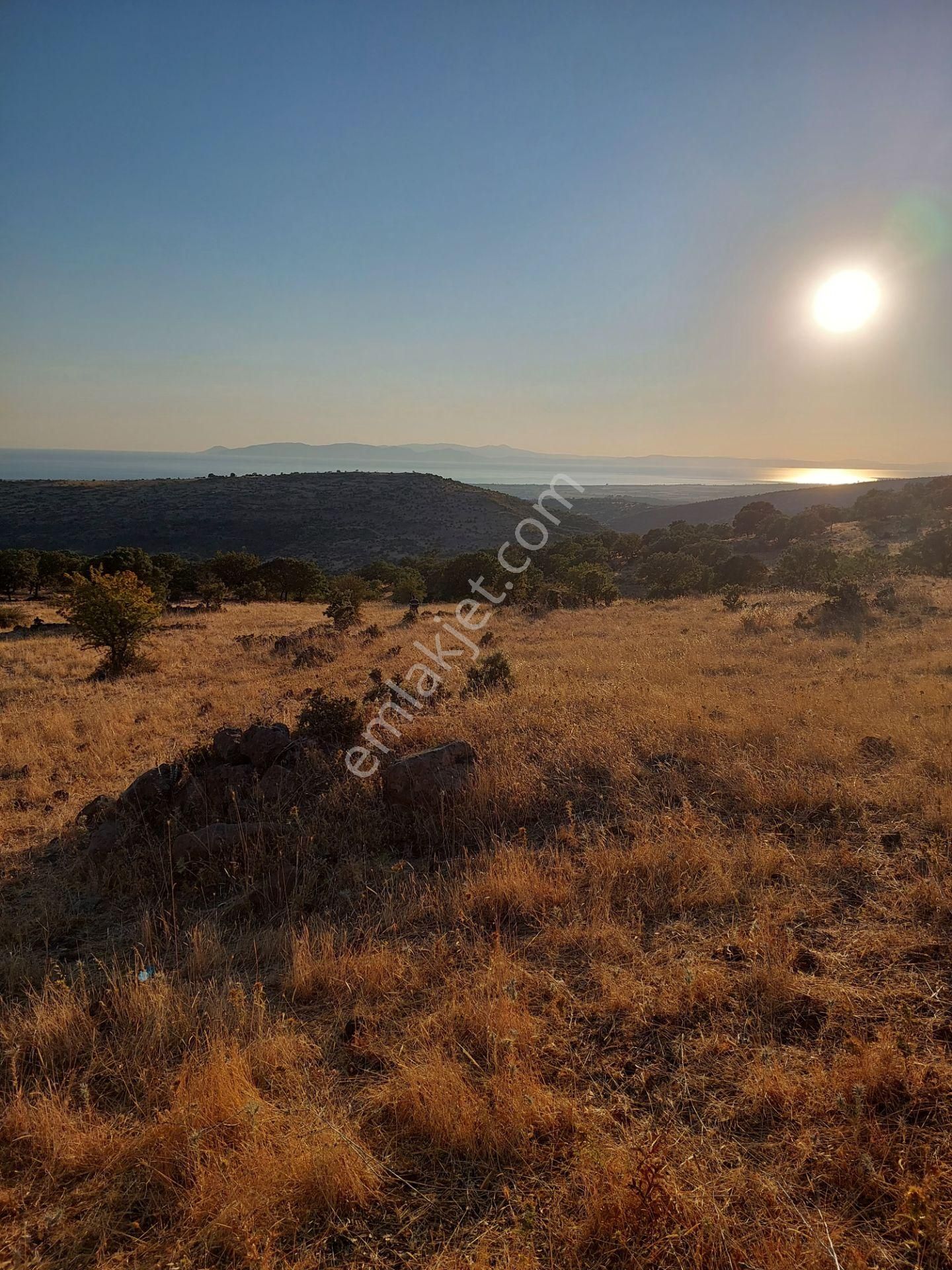 İzmir Dikili Kızılçukurda Satılık Muhteşem Deniz Manzaralı Tarla - Görsel 17