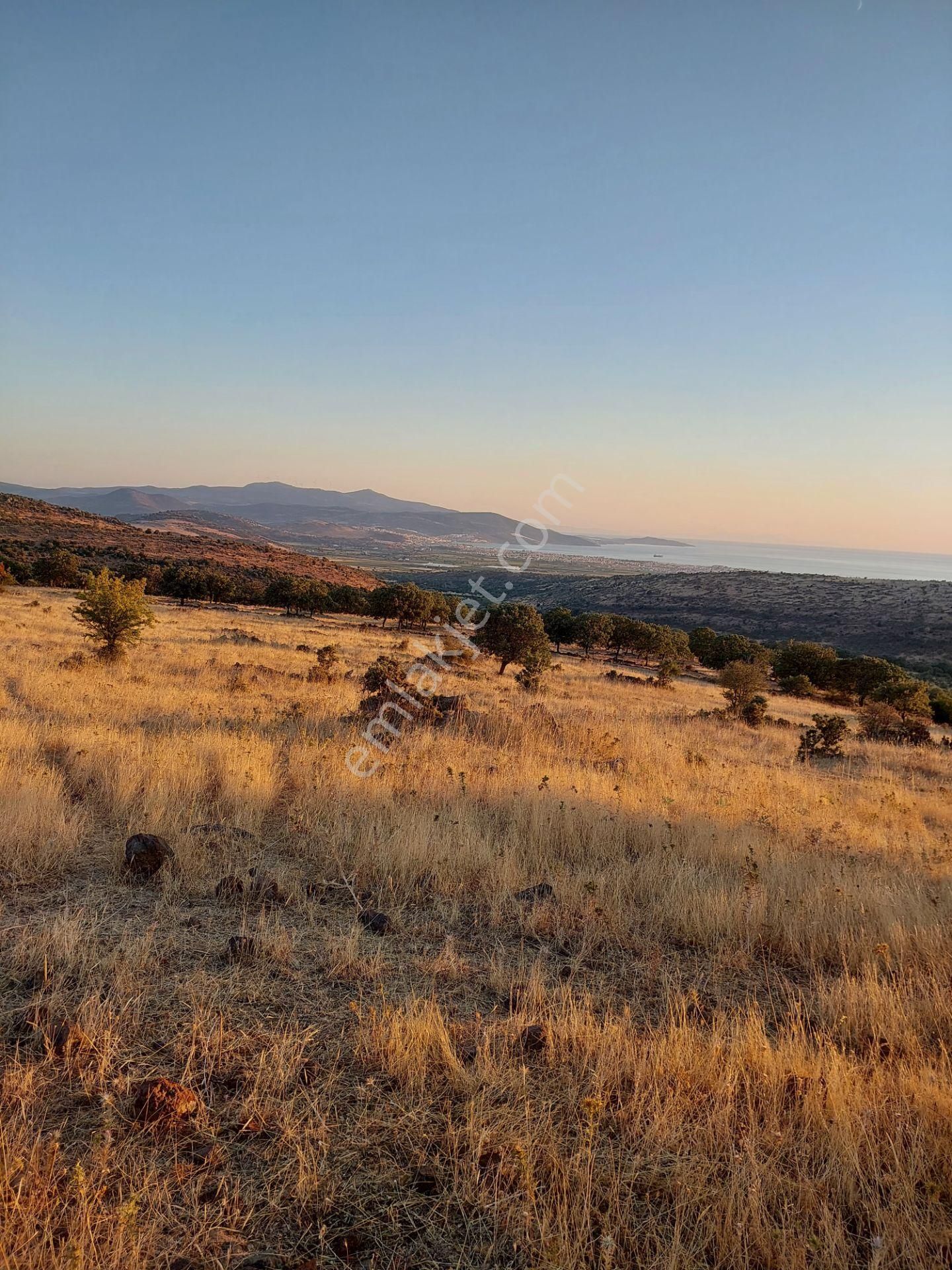 İzmir Dikili Kızılçukurda Satılık Muhteşem Deniz Manzaralı Tarla - Görsel 29
