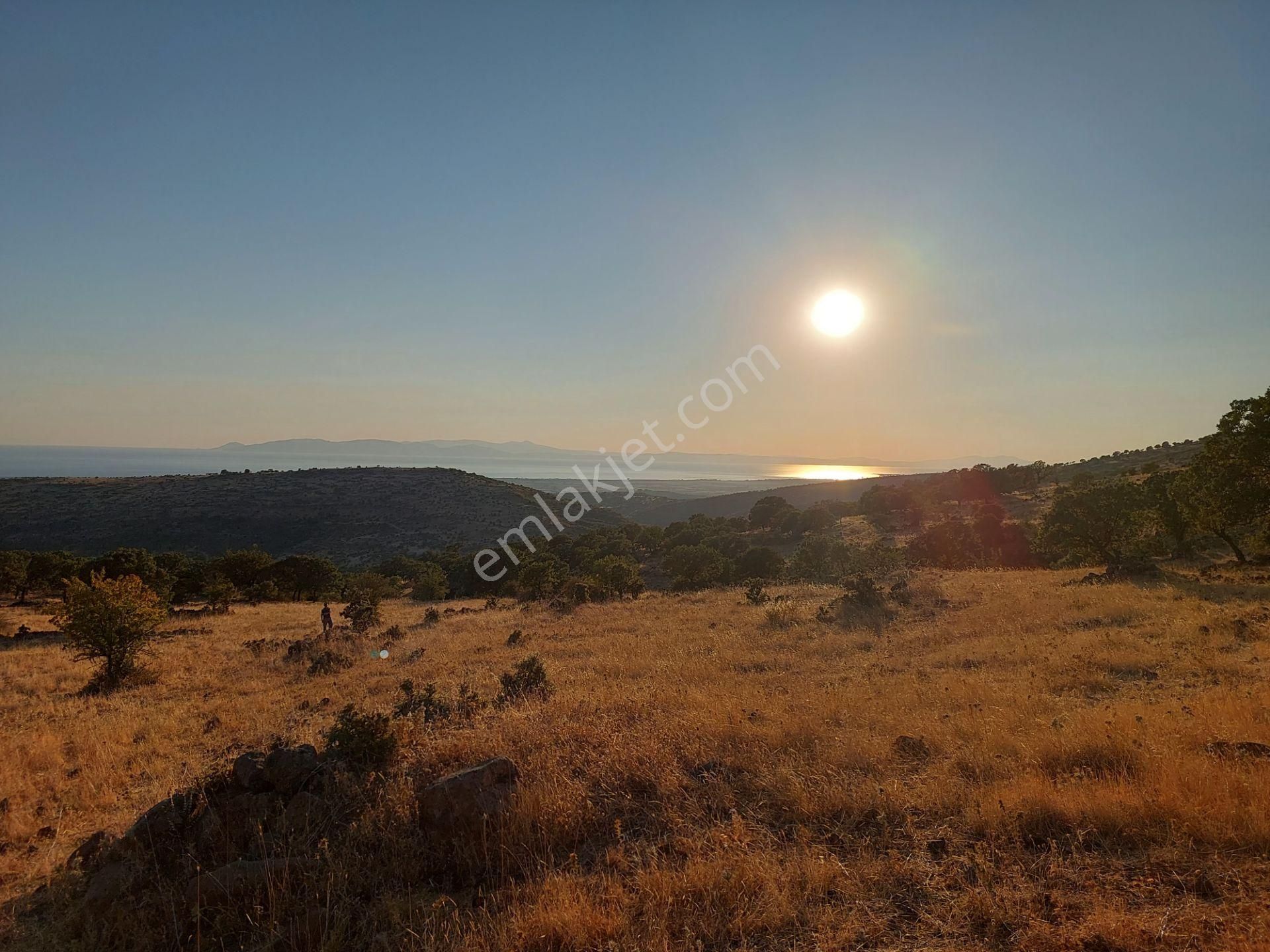 İzmir Dikili Kızılçukurda Satılık Muhteşem Deniz Manzaralı Tarla - Görsel 22