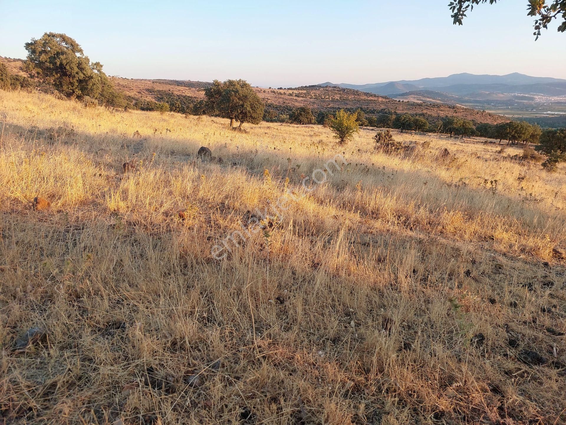 İzmir Dikili Kızılçukurda Satılık Muhteşem Deniz Manzaralı Tarla - Görsel 27