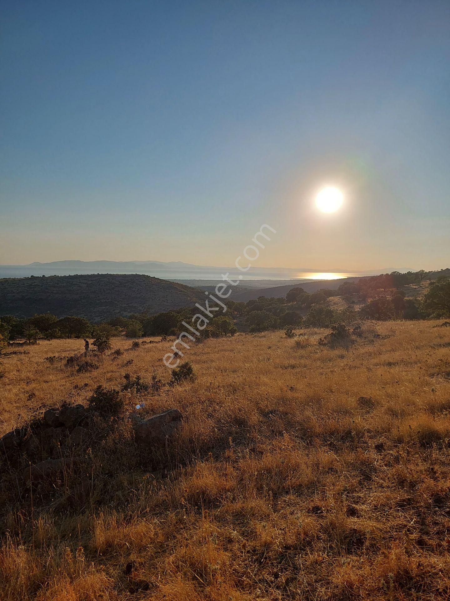 İzmir Dikili Kızılçukurda Satılık Muhteşem Deniz Manzaralı Tarla - Görsel 10