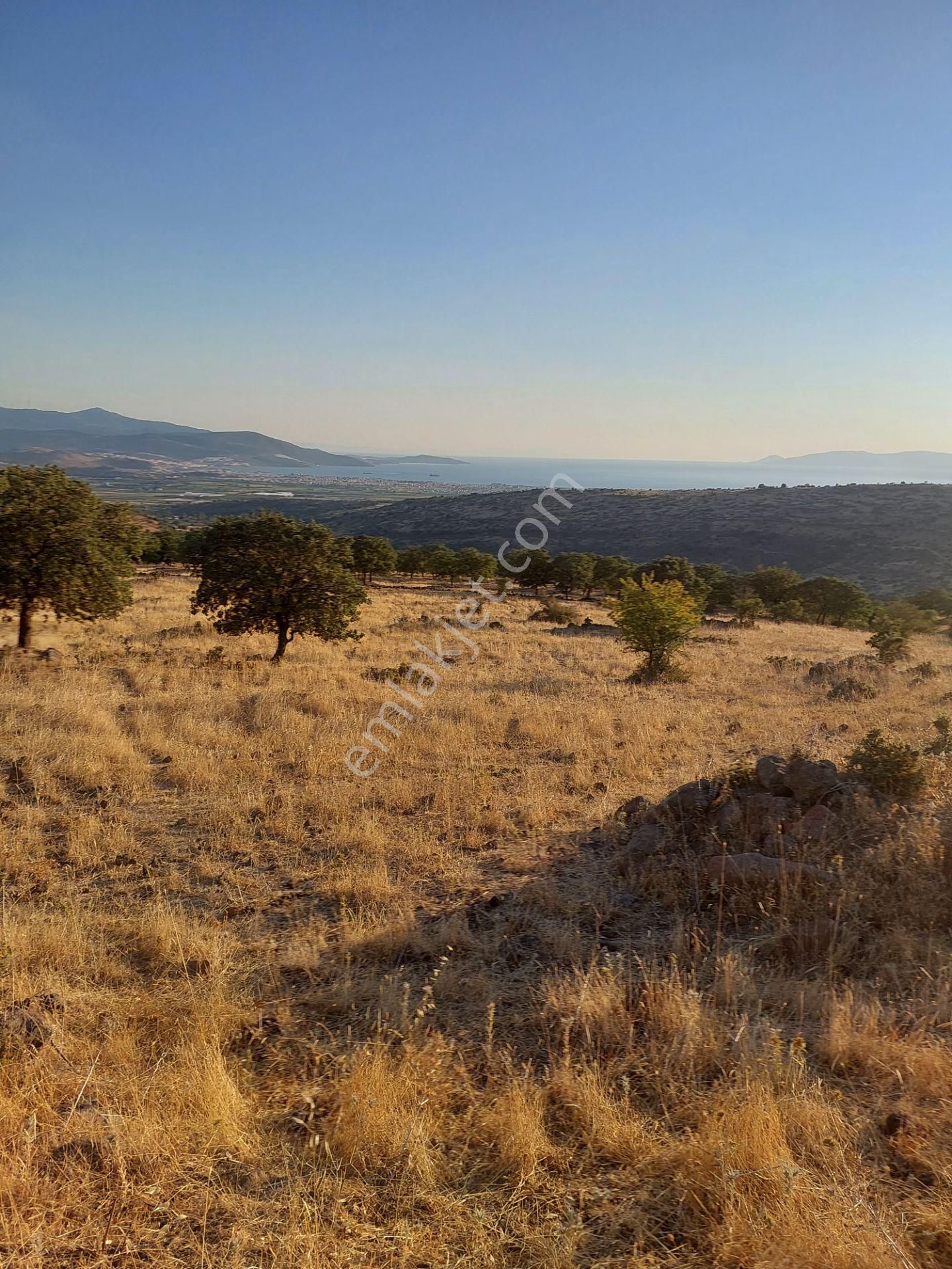 İzmir Dikili Kızılçukurda Satılık Muhteşem Deniz Manzaralı Tarla - Görsel 18