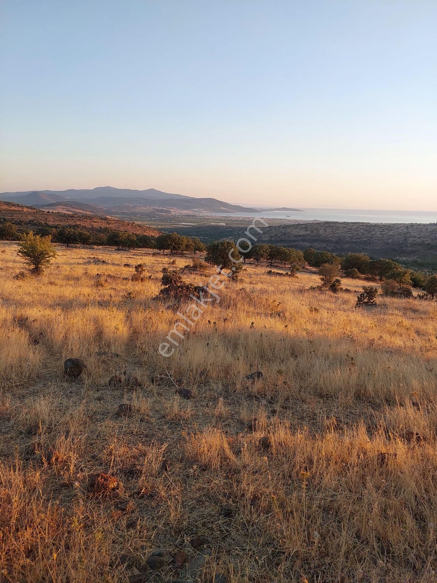 İzmir Dikili Kızılçukurda Satılık Muhteşem Deniz Manzaralı Tarla - Görsel 30