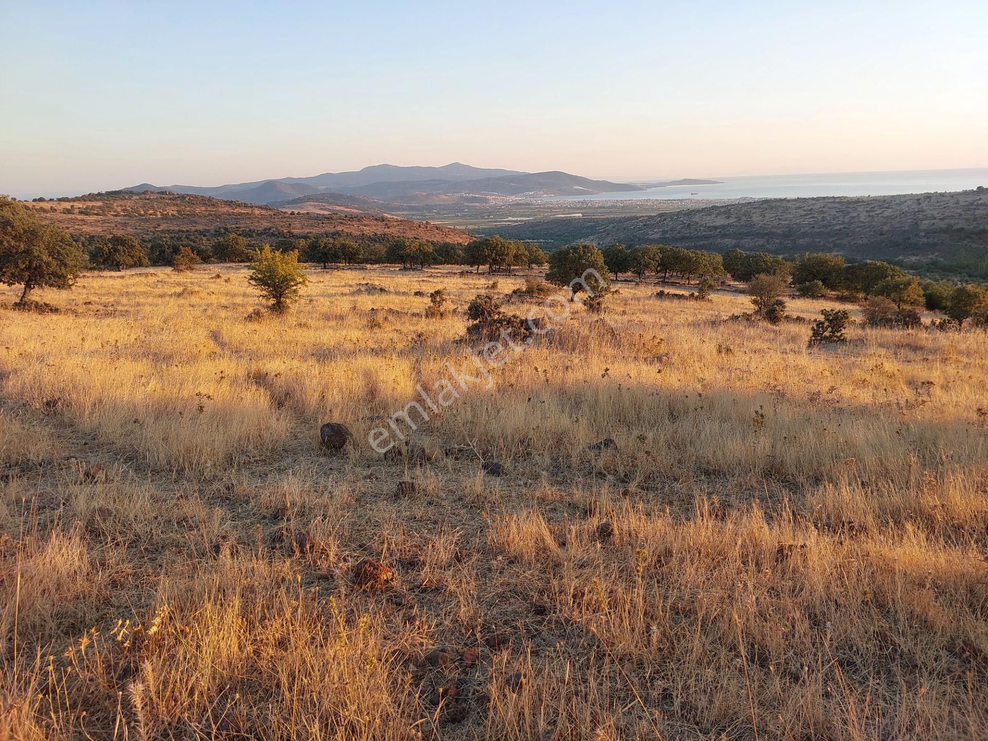 İzmir Dikili Kızılçukurda Satılık Muhteşem Deniz Manzaralı Tarla - Görsel 25
