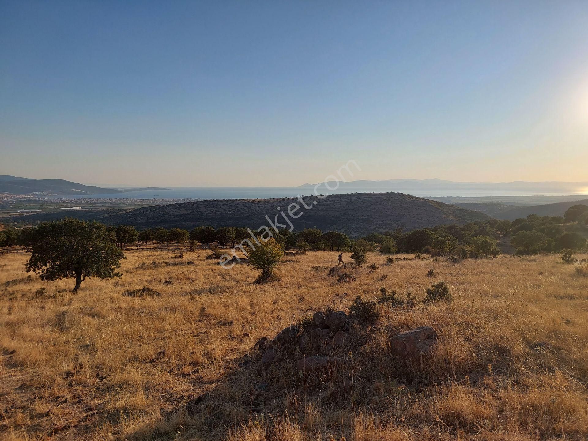 İzmir Dikili Kızılçukurda Satılık Muhteşem Deniz Manzaralı Tarla - Görsel 26
