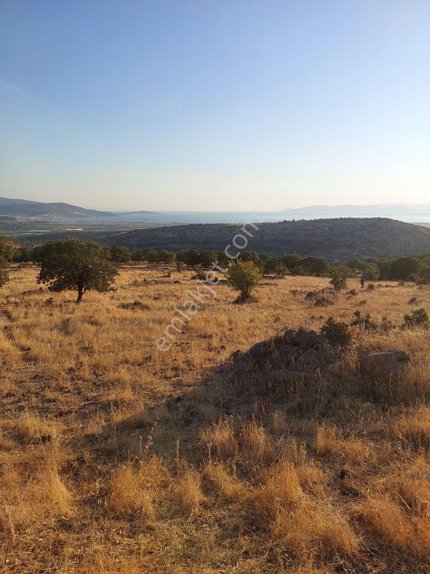 İzmir Dikili Kızılçukurda Satılık Muhteşem Deniz Manzaralı Tarla - Görsel 16