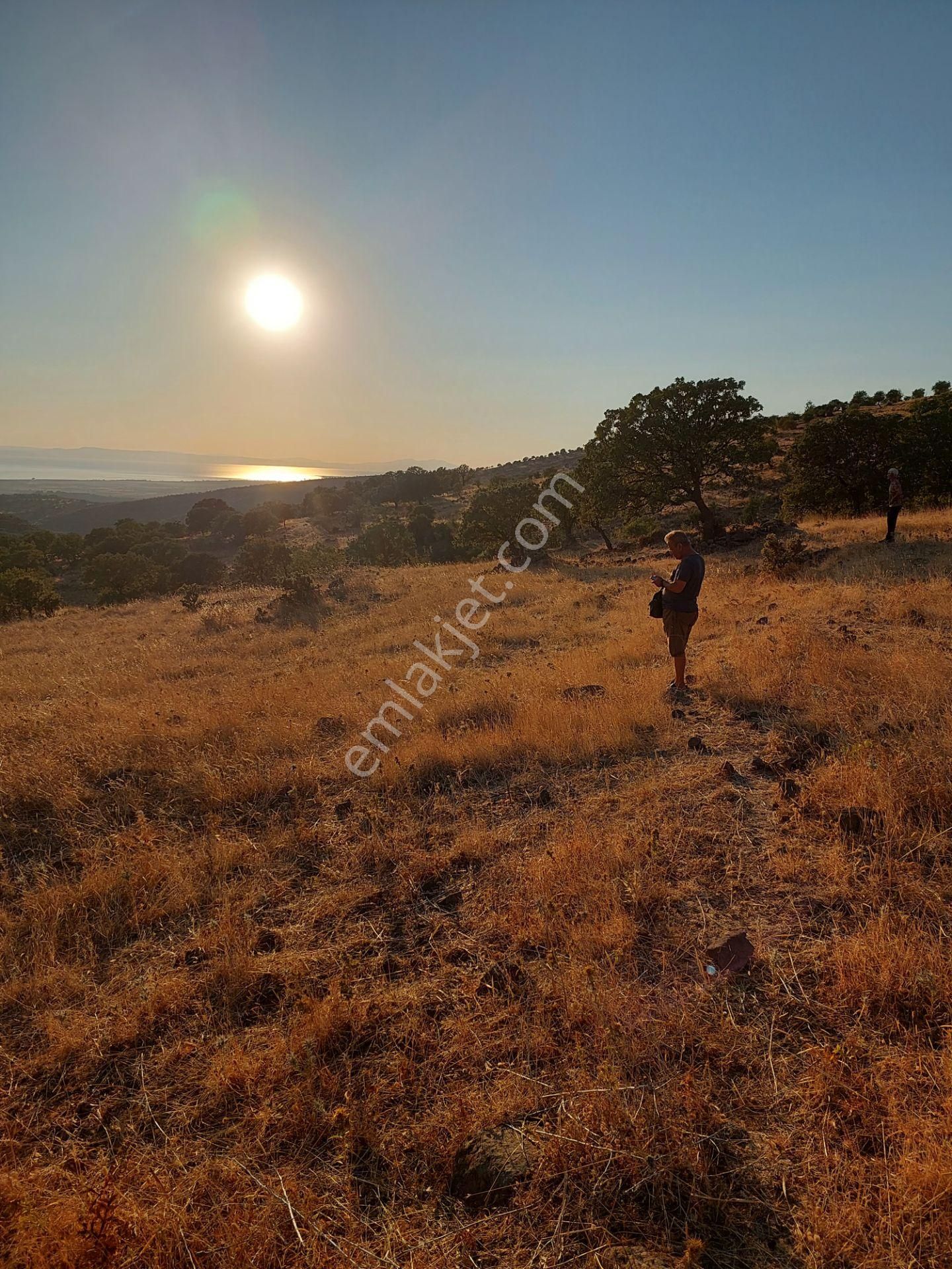 İzmir Dikili Kızılçukurda Satılık Muhteşem Deniz Manzaralı Tarla - Görsel 20