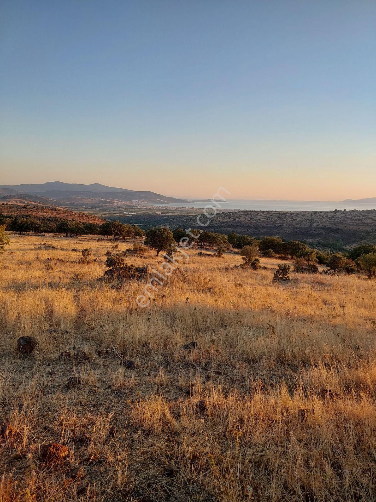 İzmir Dikili Kızılçukurda Satılık Muhteşem Deniz Manzaralı Tarla - Görsel 32