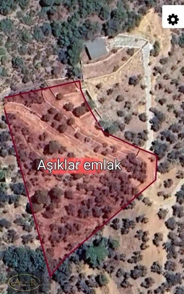 Balıkesir Edremit Güre Satılık Zeytinlik - Görsel 3