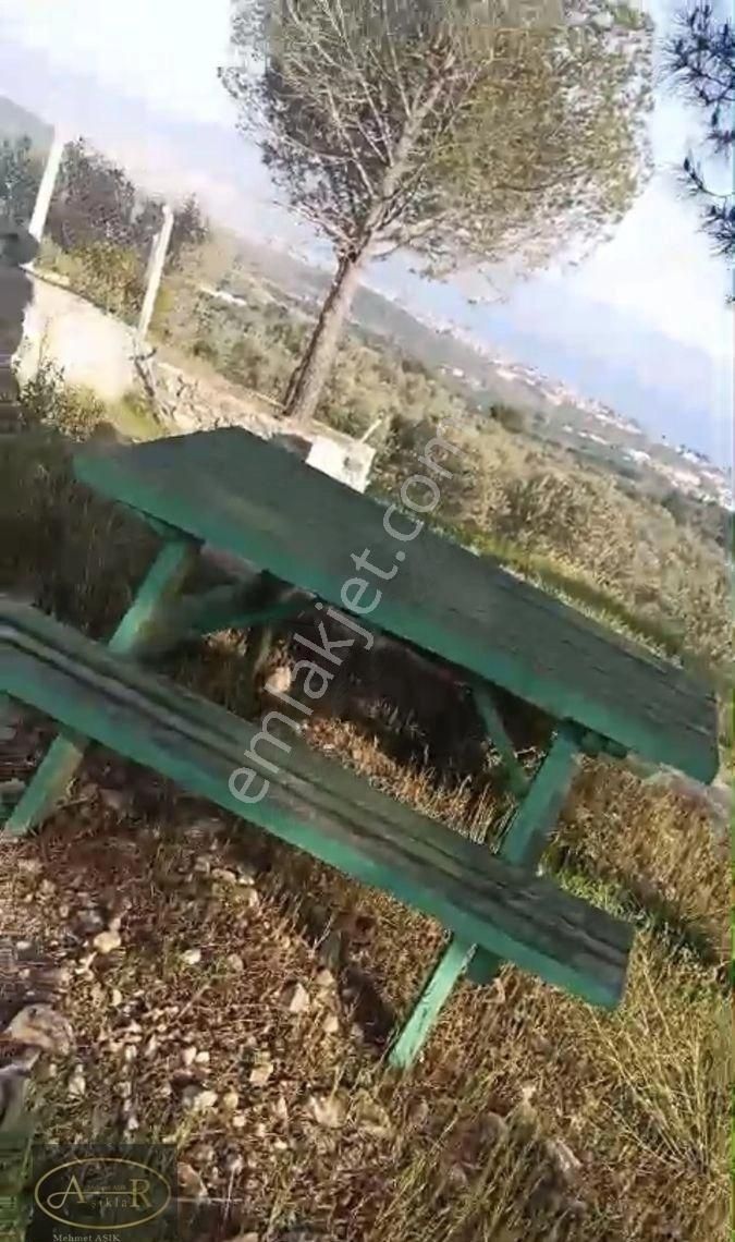 Balıkesir Edremit Güre Satılık Zeytinlik - Görsel 5