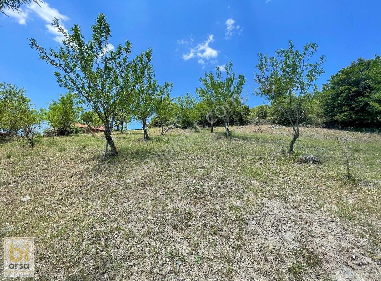 Balıkesir Kepsut'ta %50 İmarlı 852m² Mesire Alanına 3 Km!!