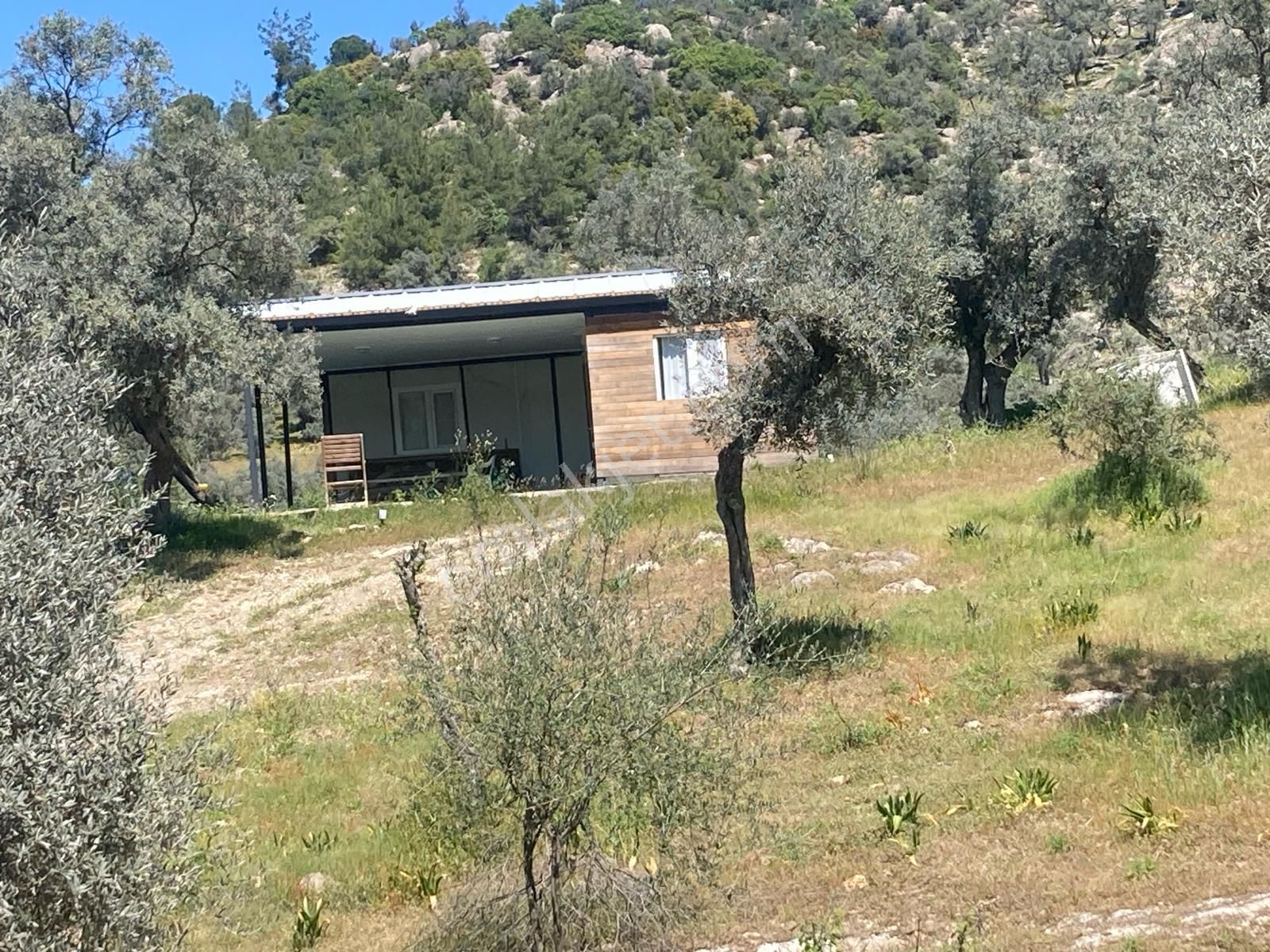Doğayla İç İçe, Yatırımlık Ve Yaşam Alanı Bir Arada!