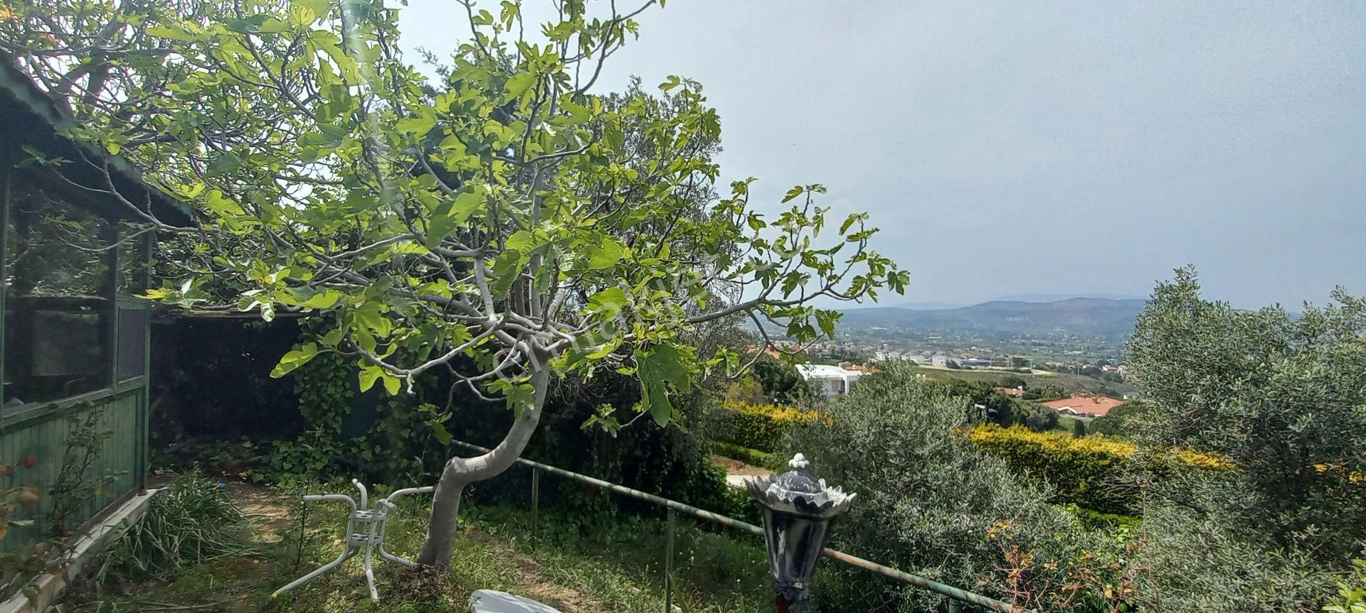 Urla Kekliktepe Sefaköy De 2000m2 Arsa İçeresinde Satılık Villa - Görsel 24