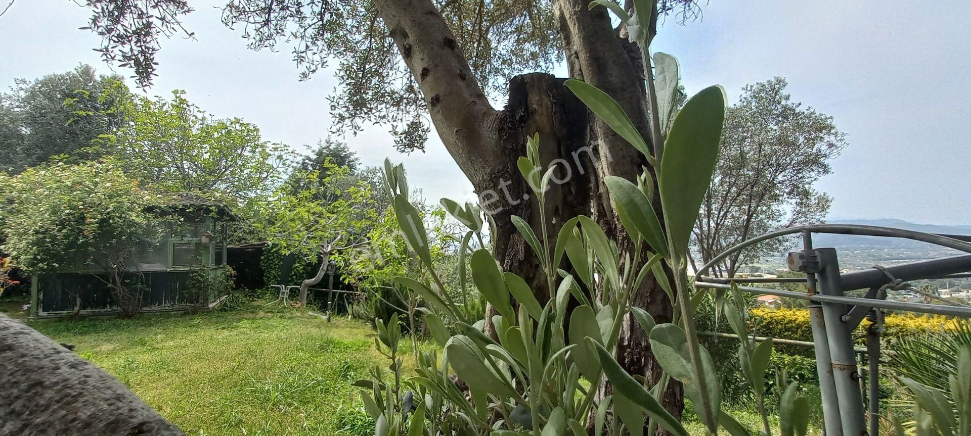 Urla Kekliktepe Sefaköy De 2000m2 Arsa İçeresinde Satılık Villa - Görsel 34