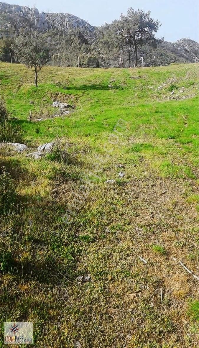 Marmaris Osmaniye Köyünde Satılık Tarla - Görsel 2