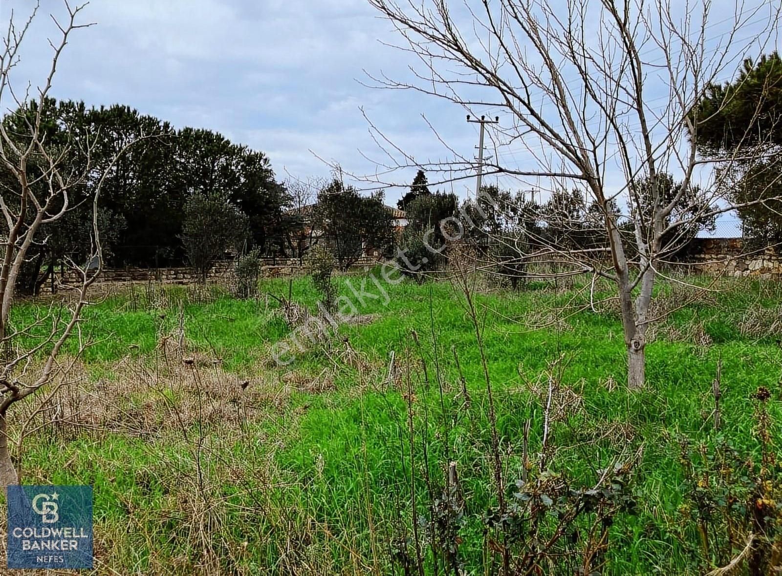 Bozcaada Papazbahçe Mevkiinde 2 Dönüm İçinde Satılık Taş Bağ Evi - Görsel 20
