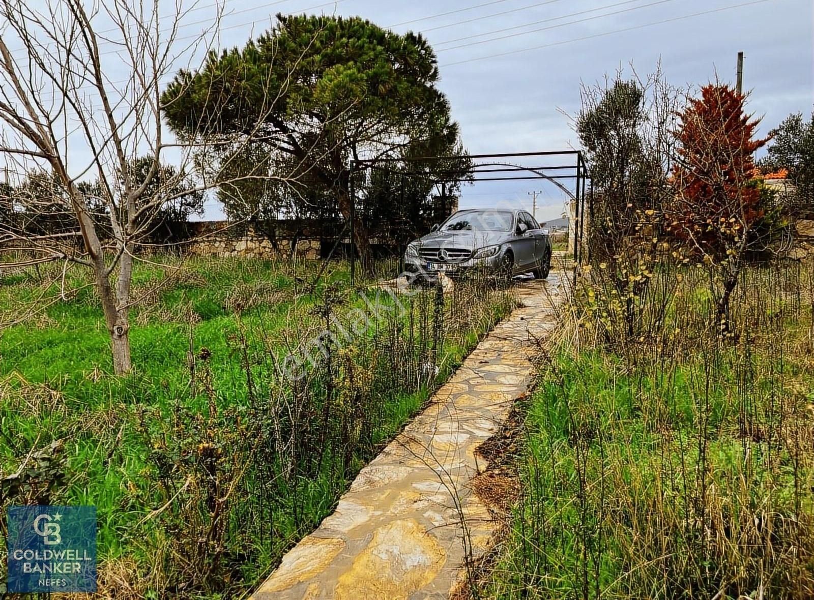 Bozcaada Papazbahçe Mevkiinde 2 Dönüm İçinde Satılık Taş Bağ Evi - Görsel 16