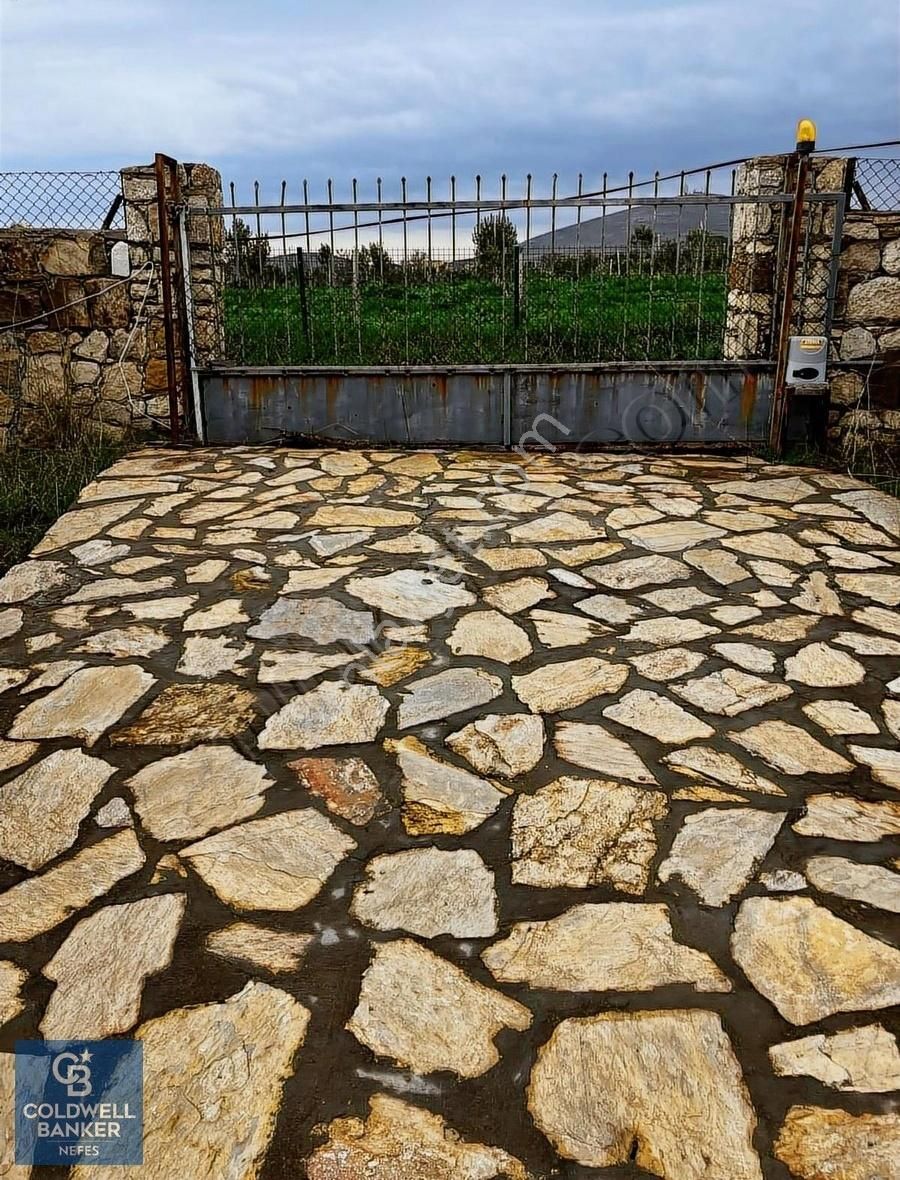 Bozcaada Papazbahçe Mevkiinde 2 Dönüm İçinde Satılık Taş Bağ Evi - Görsel 11