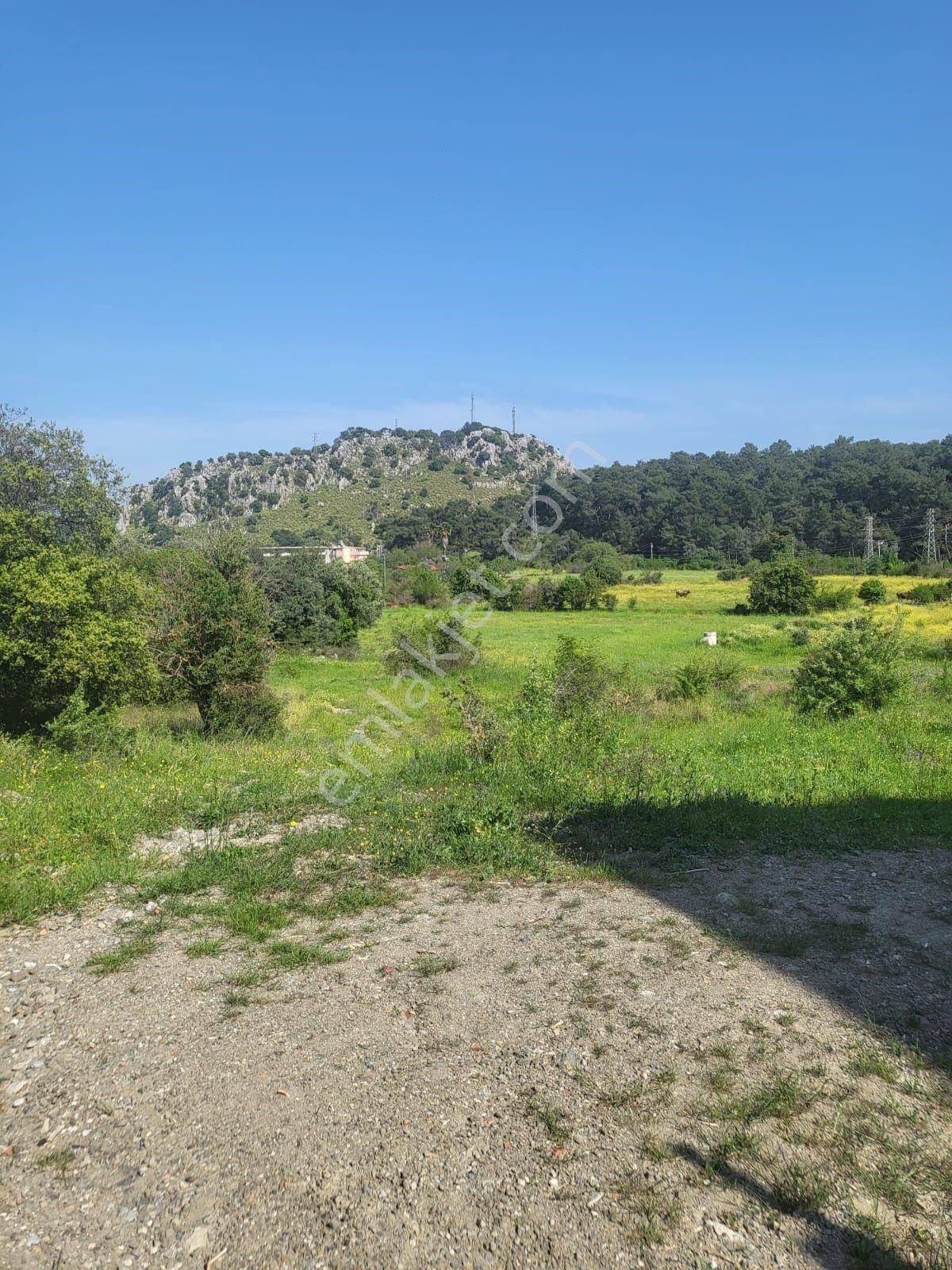 Ortaca Sarıgerme De 580m² %30 2 Kat İmarlı Satılık Tapulu Arsa - Görsel 3