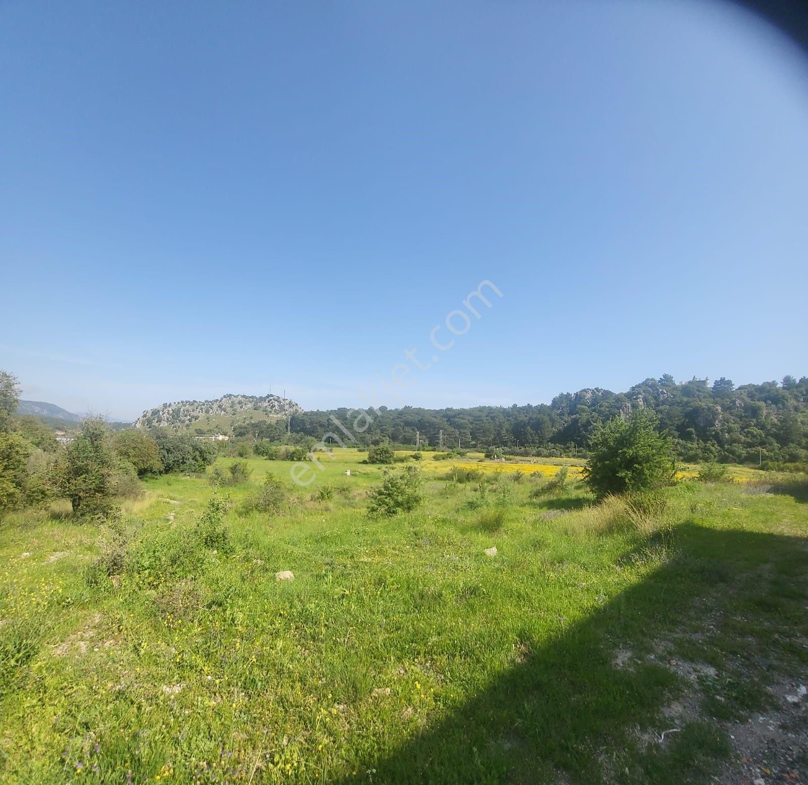 Ortaca Sarıgerme De 580m² %30 2 Kat İmarlı Satılık Tapulu Arsa - Görsel 6