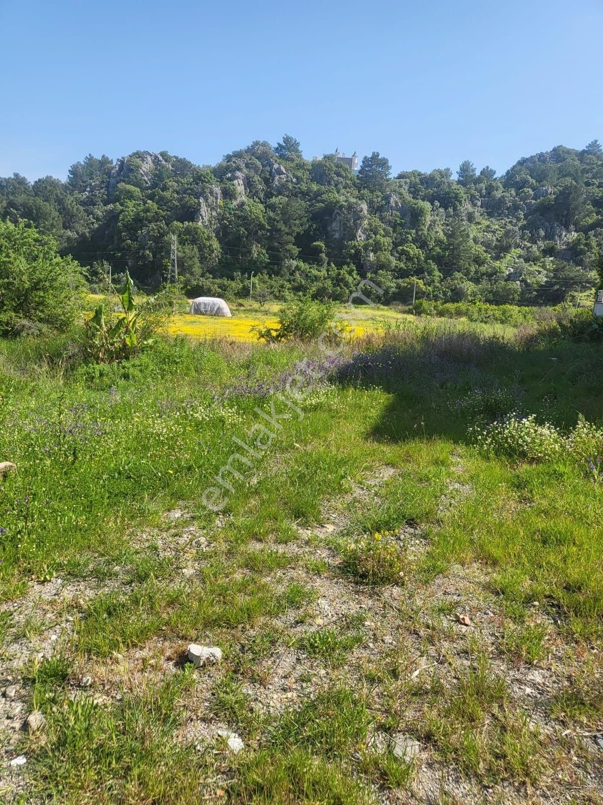 Ortaca Sarıgerme De 580m² %30 2 Kat İmarlı Satılık Tapulu Arsa - Görsel 7