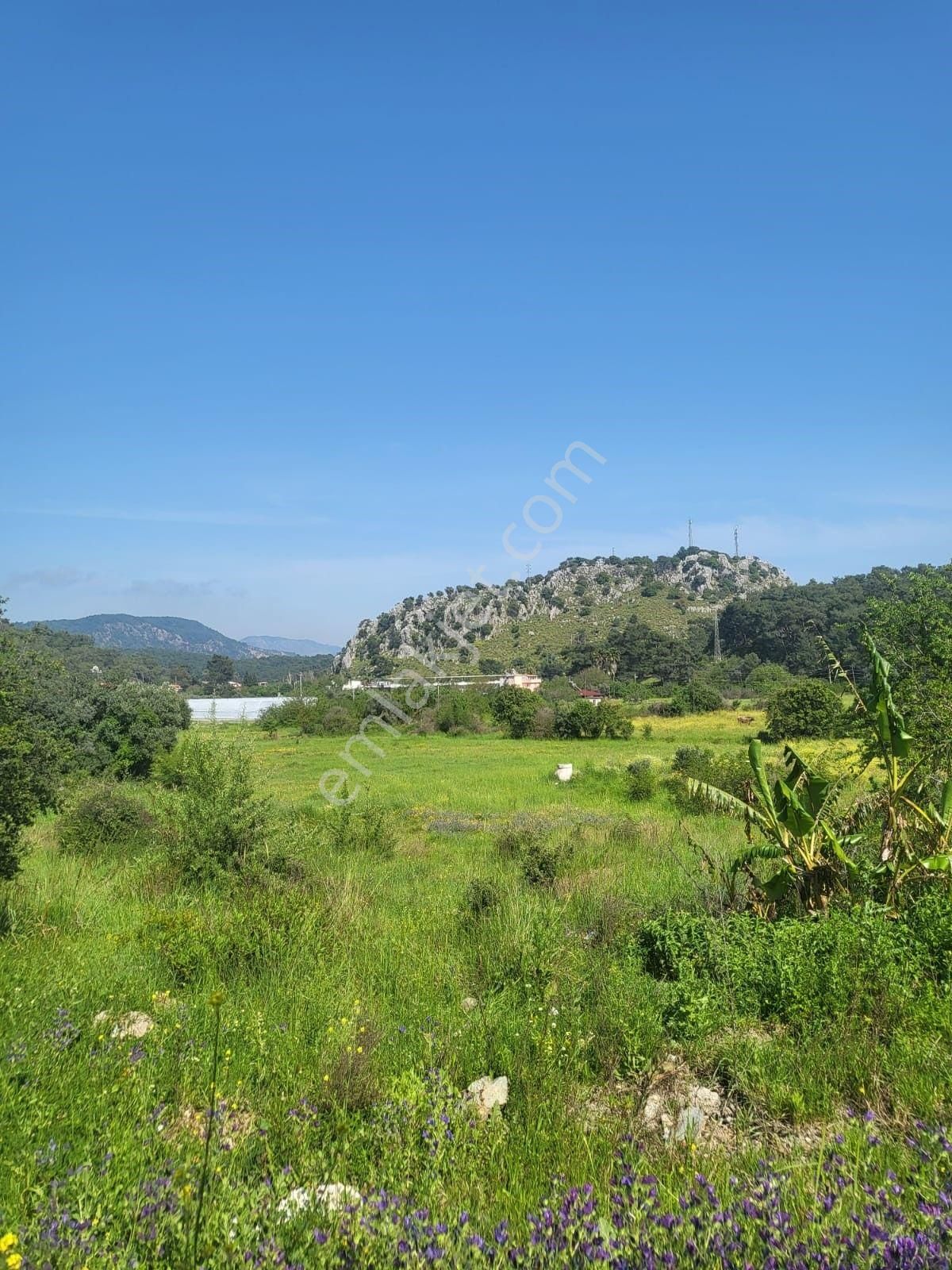 Ortaca Sarıgerme De 580m² %30 2 Kat İmarlı Satılık Tapulu Arsa - Görsel 8