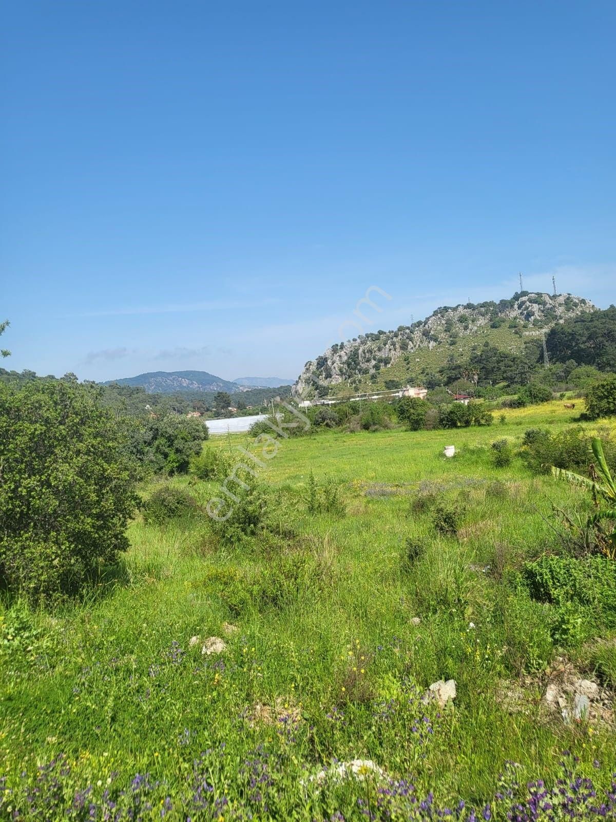 Ortaca Sarıgerme De 580m² %30 2 Kat İmarlı Satılık Tapulu Arsa - Görsel 4