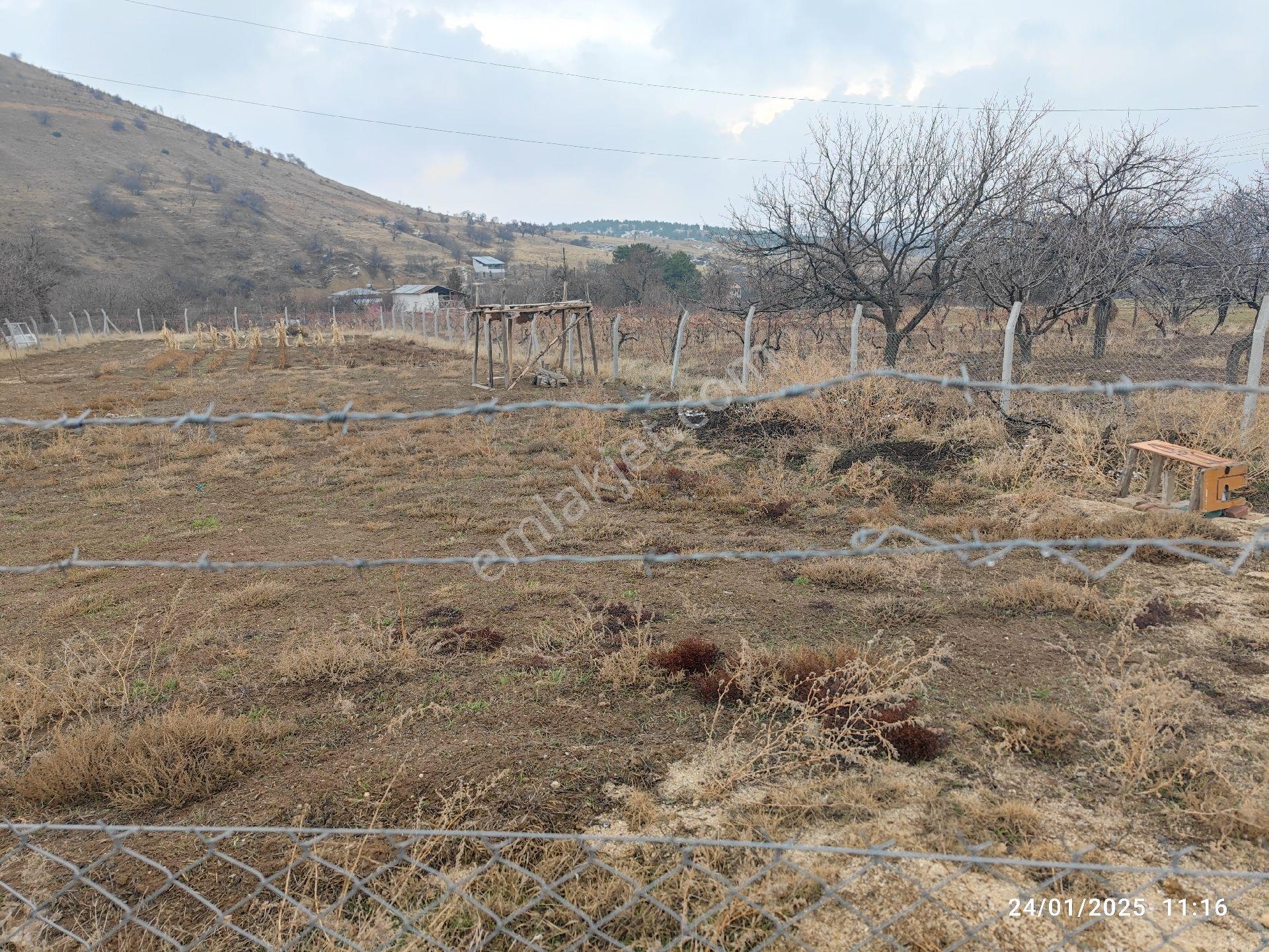 Su Gözün'de 1,400 M2 Bahçelik Tarla Resmi Yolu Var - Görsel 11