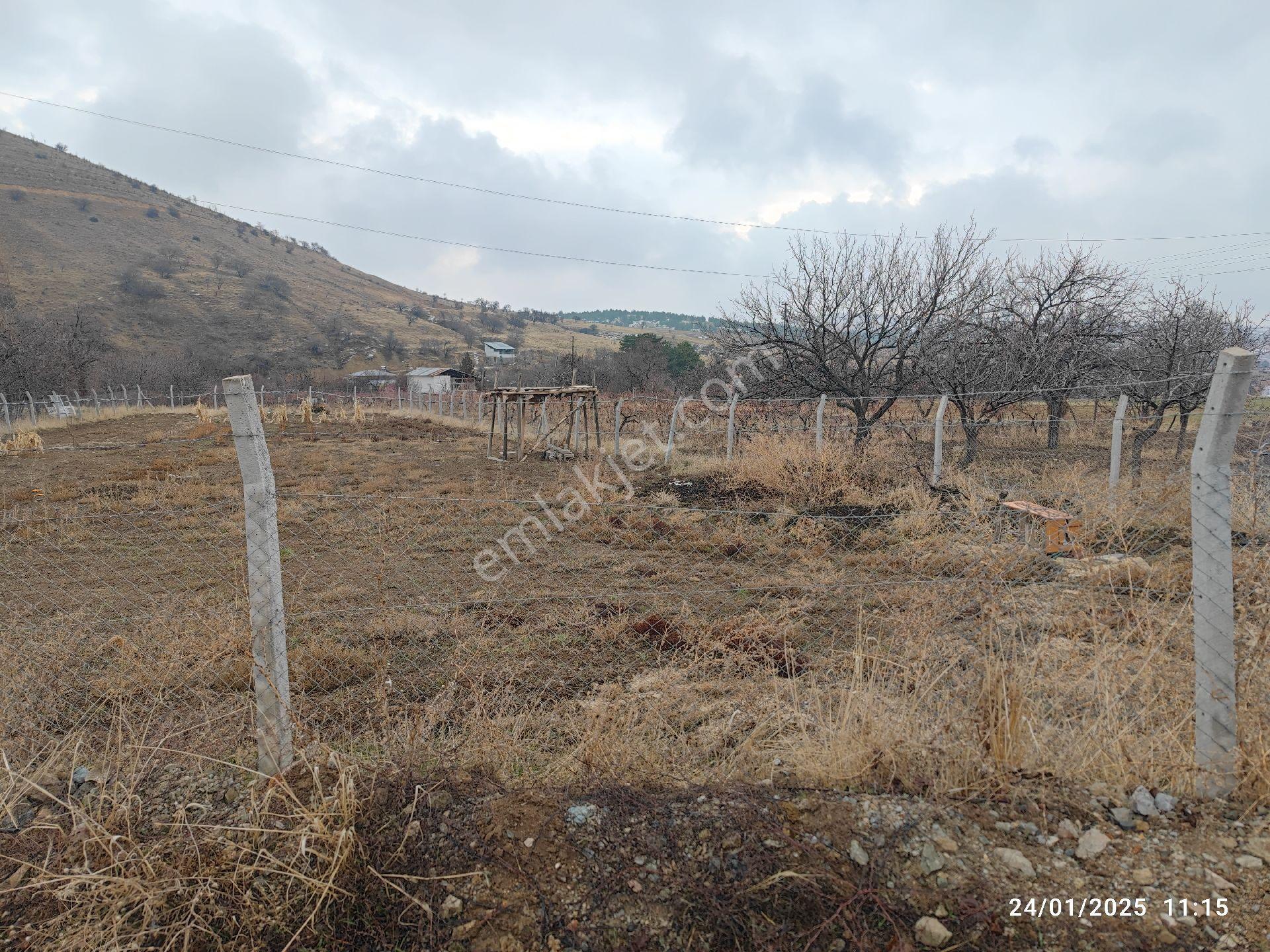 Su Gözün'de 1,400 M2 Bahçelik Tarla Resmi Yolu Var - Görsel 13
