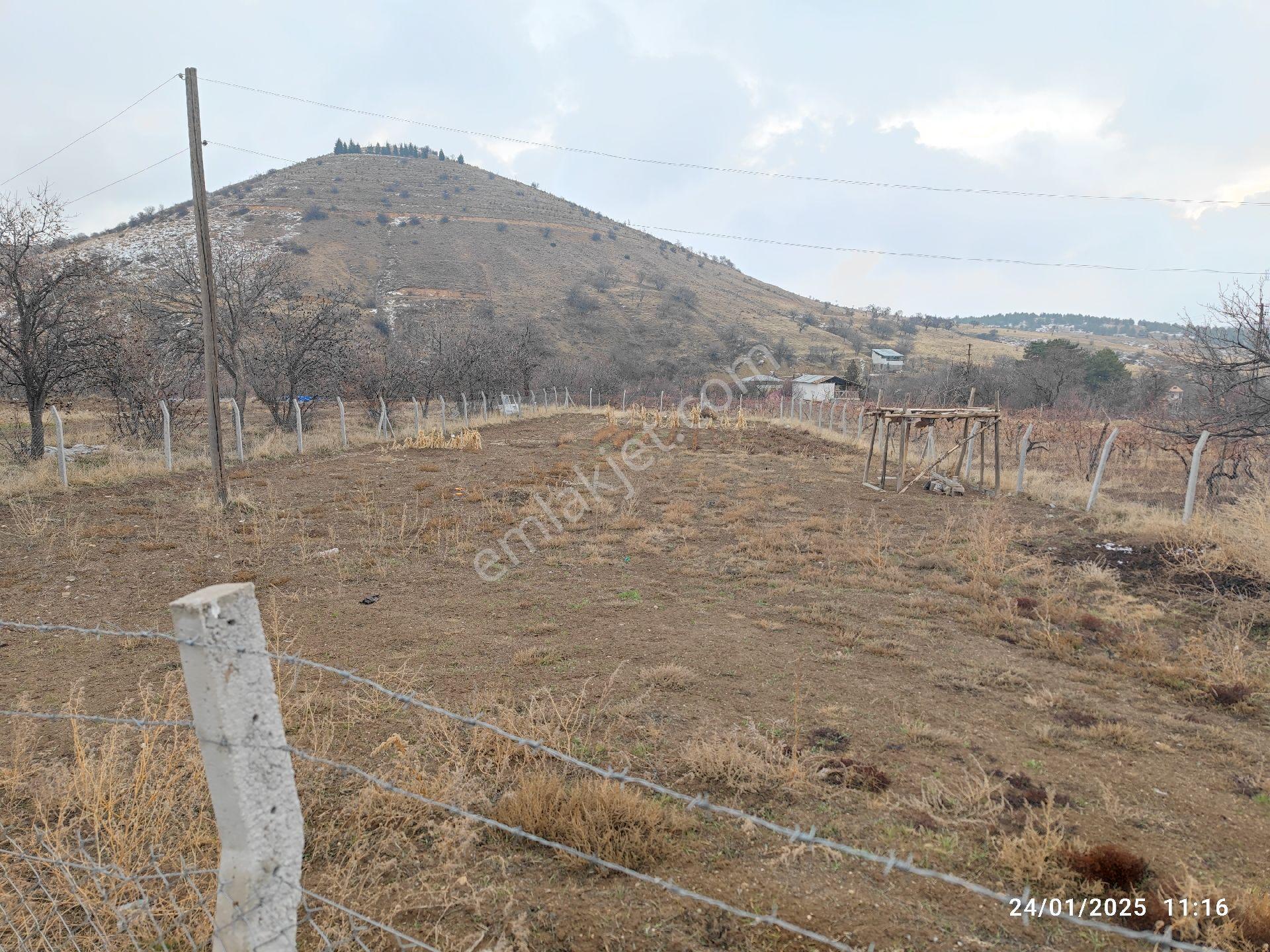 Su Gözün'de 1,400 M2 Bahçelik Tarla Resmi Yolu Var - Görsel 8