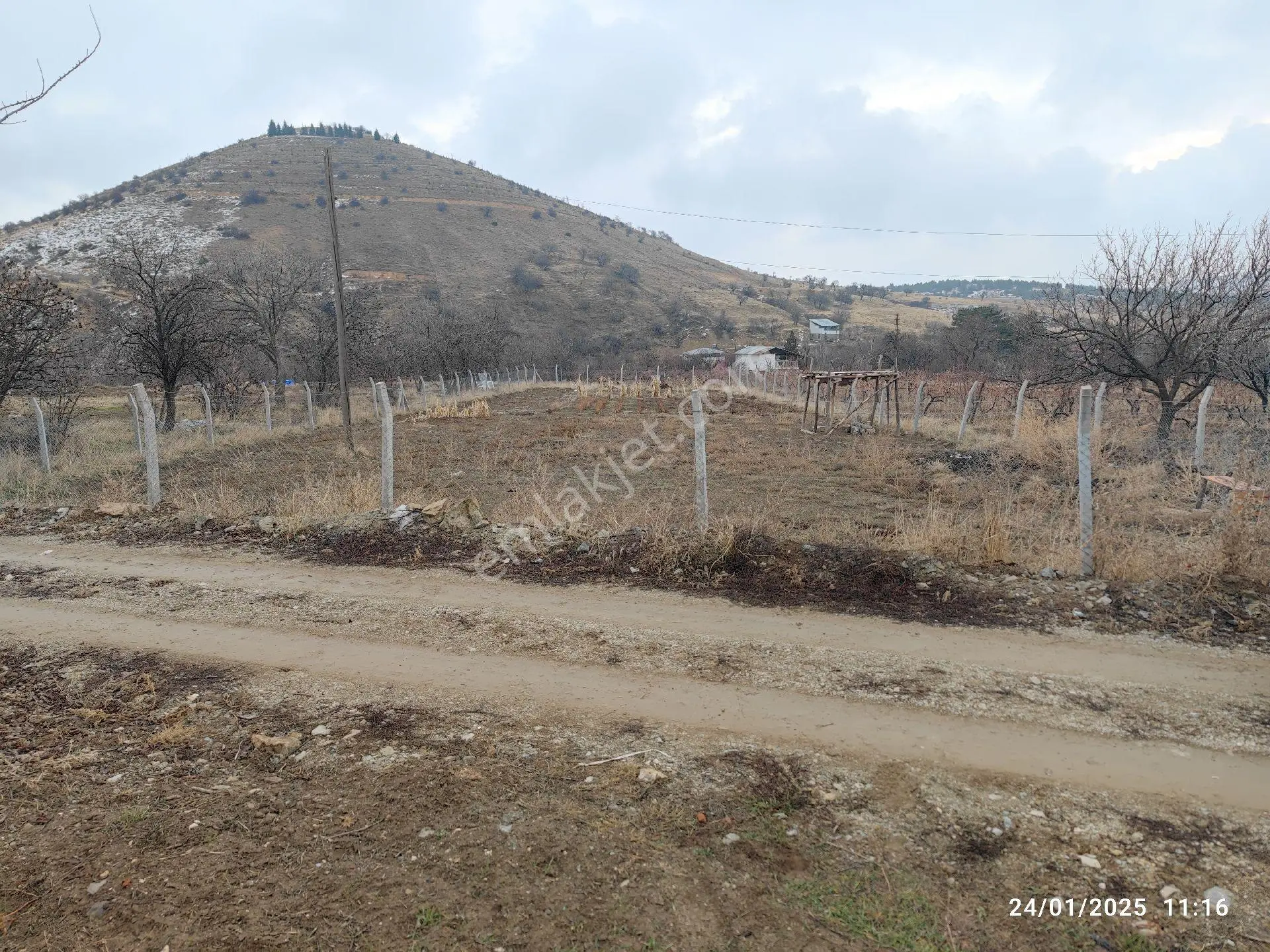 Su Gözün'de 1,400 M2 Bahçelik Tarla Resmi Yolu Var - Görsel 4