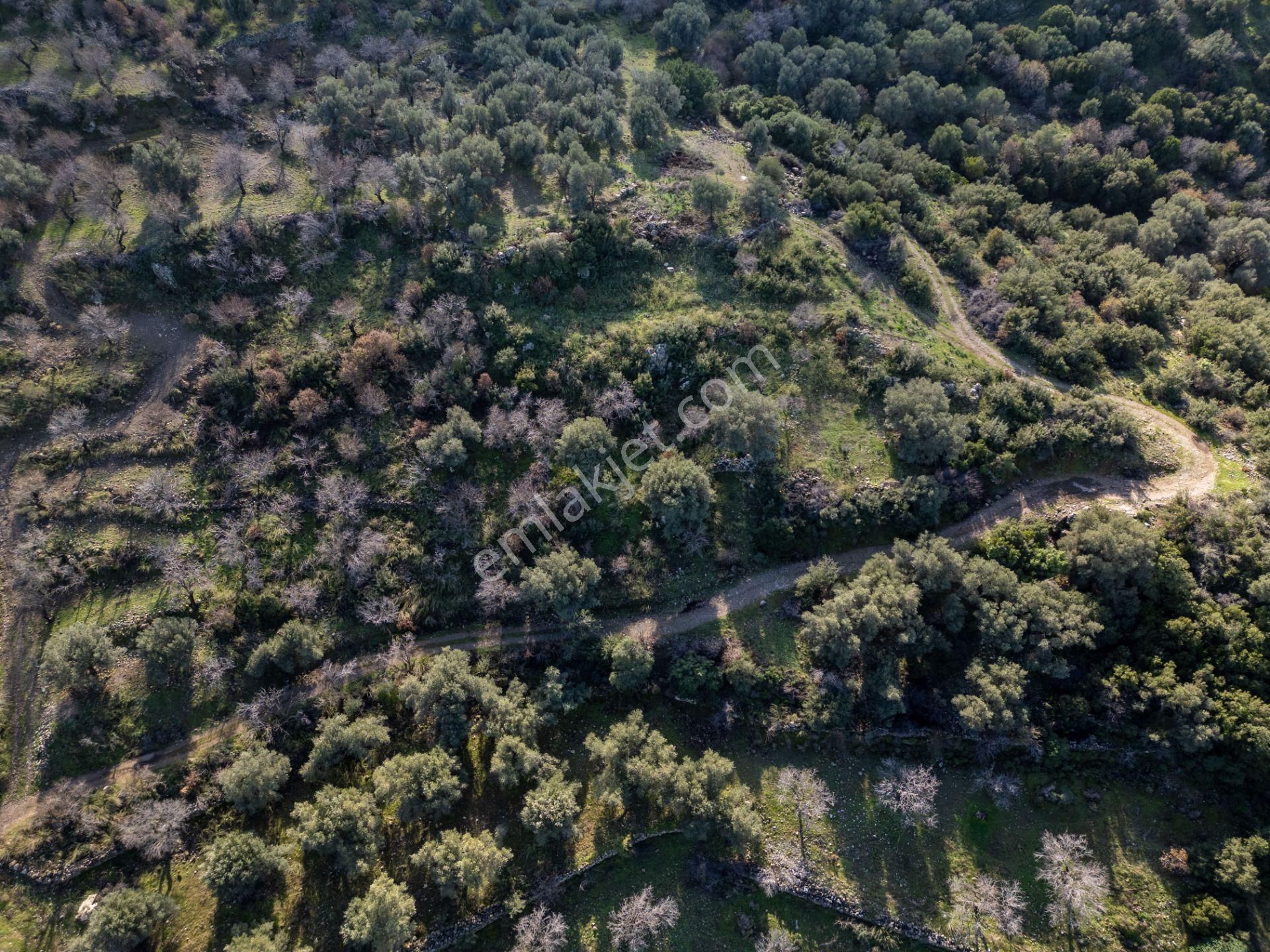 Datça Hızırşahta 4.783m2 Muhteşem Manzaralı Satılık Fırsat Arazi - Görsel 15