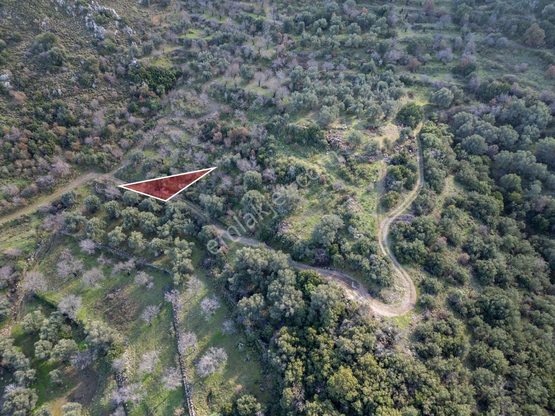 Datça Hızırşahta 4.783m2 Muhteşem Manzaralı Satılık Fırsat Arazi - Görsel 8