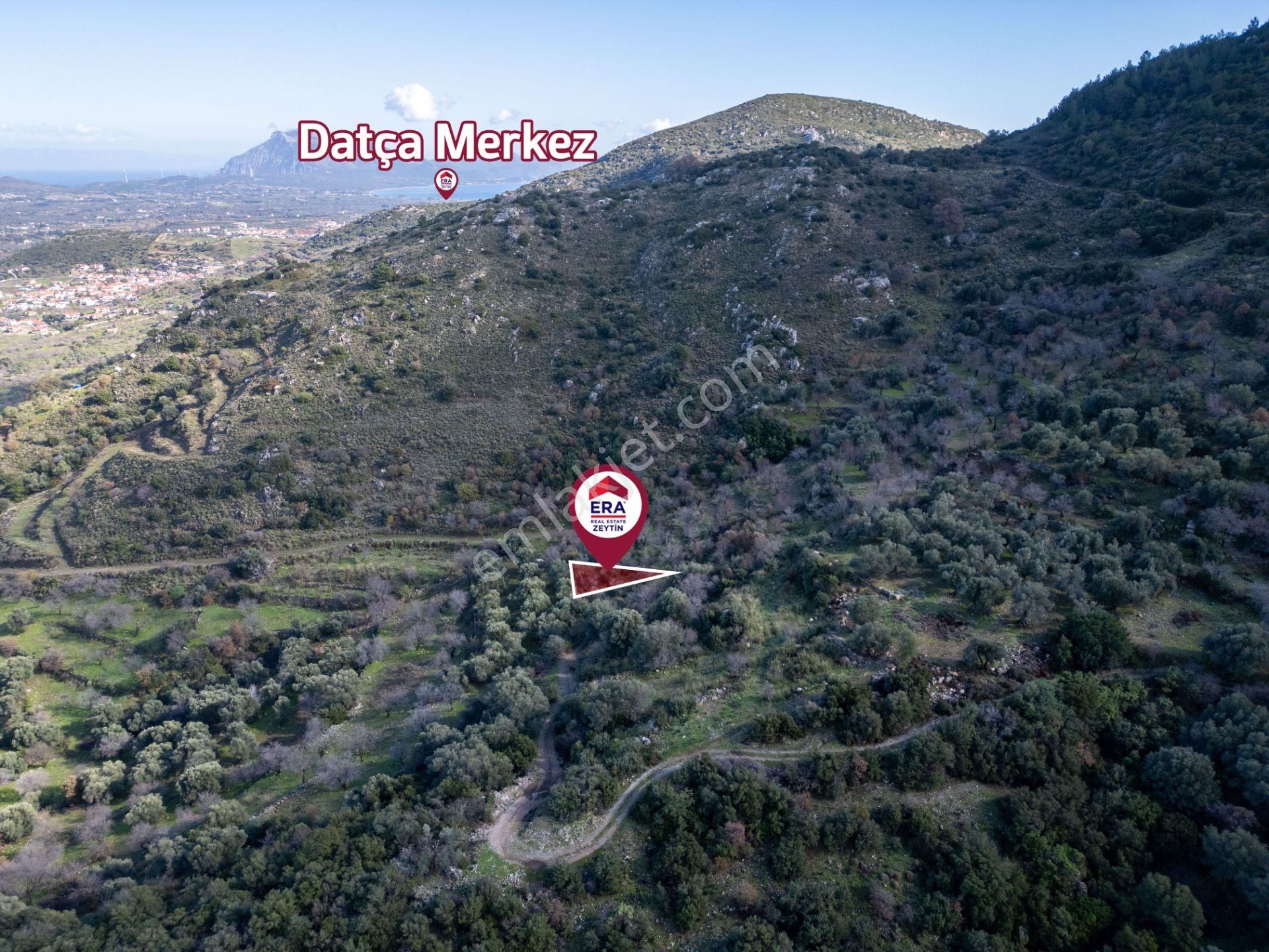 Datça Hızırşahta 4.783m2 Muhteşem Manzaralı Satılık Fırsat Arazi - Görsel 2
