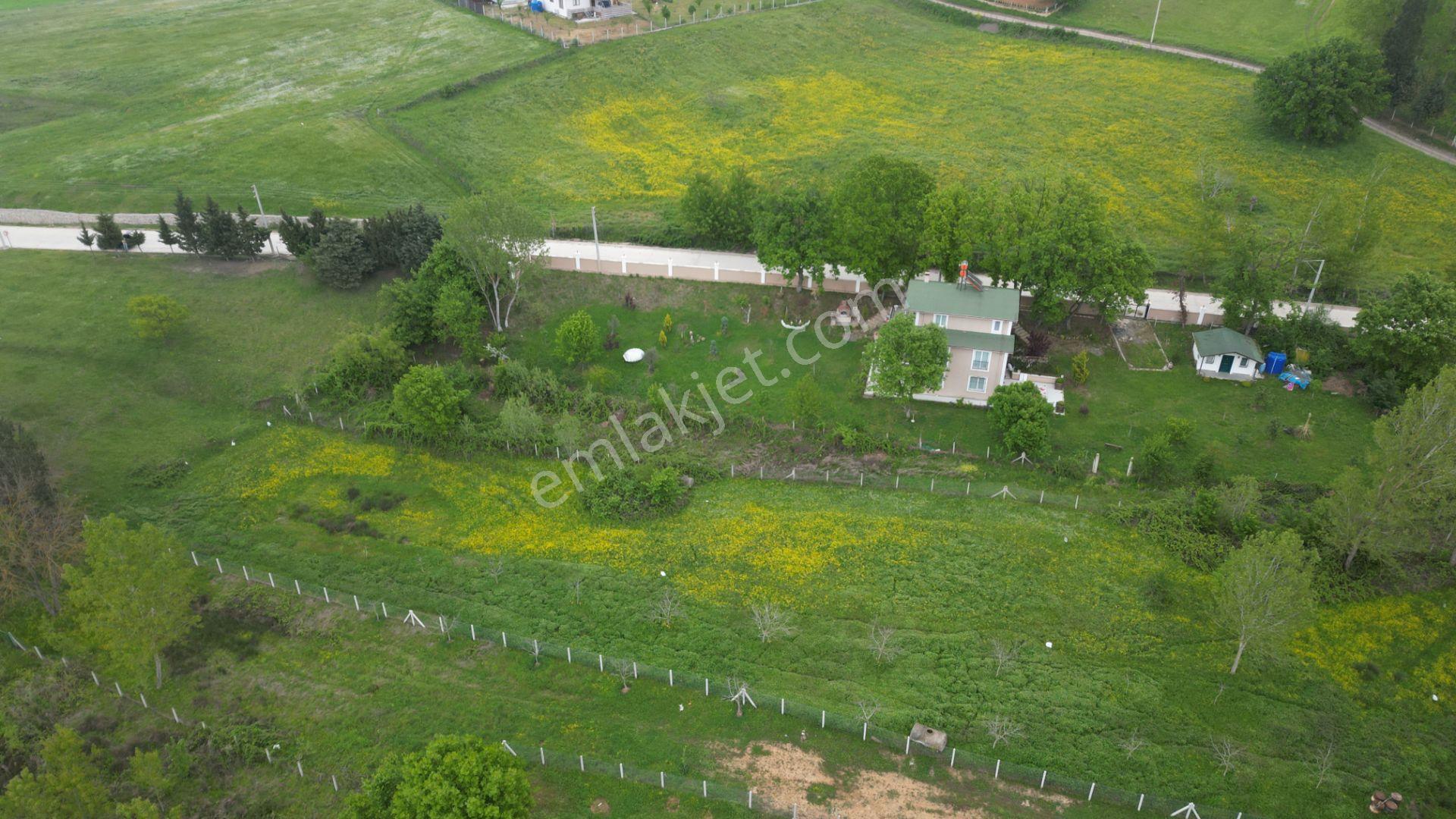 Kocaeli Karamürsel Çamdibi Satılık 593 M2 Hobi Bahçesi - Görsel 4