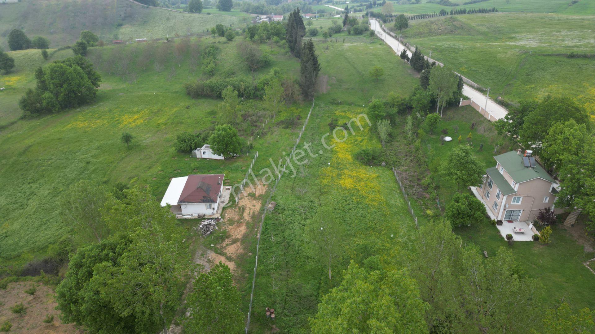 Kocaeli Karamürsel Çamdibi Satılık 593 M2 Hobi Bahçesi - Görsel 3