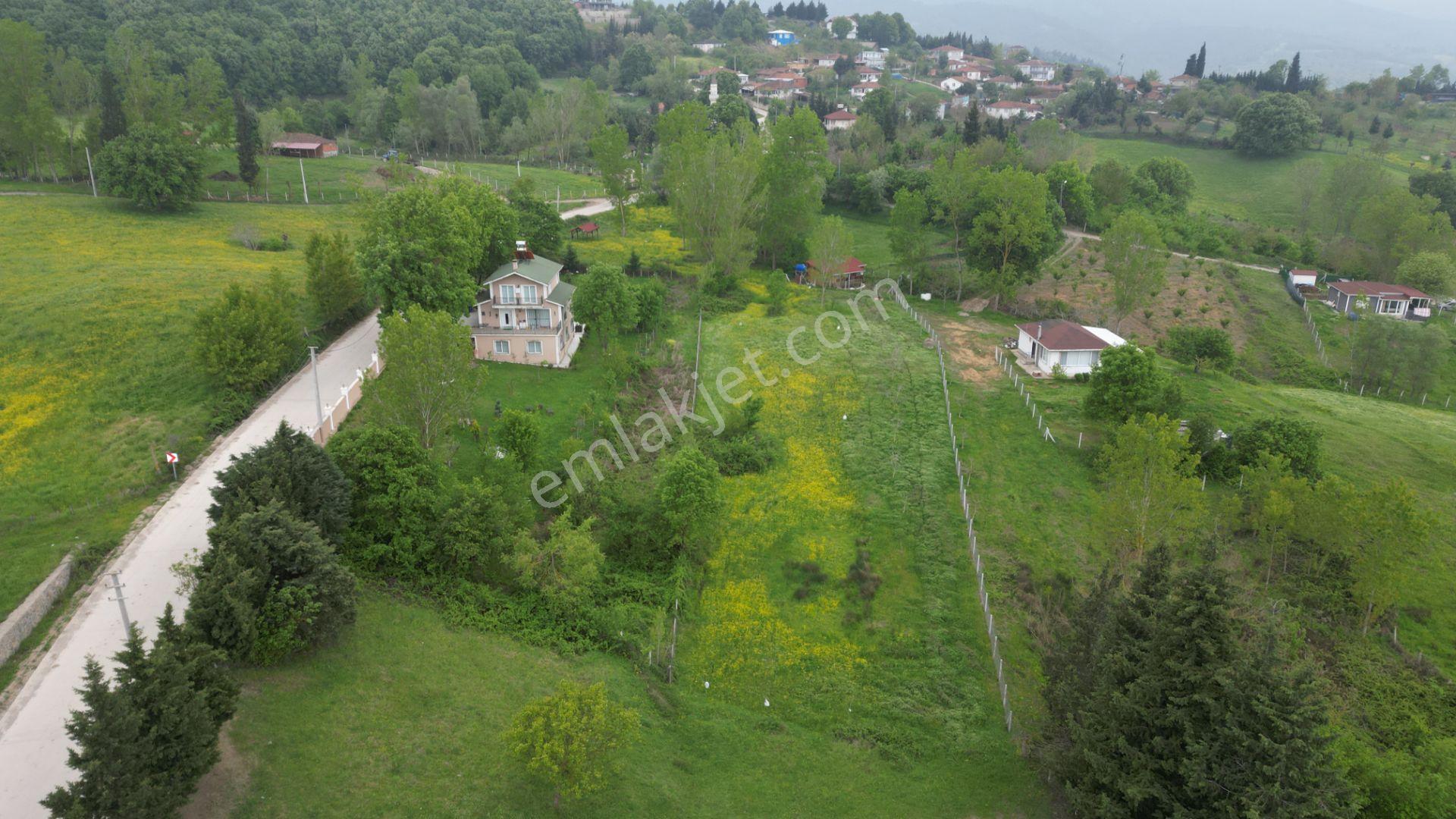 Kocaeli Karamürsel Çamdibi Satılık 593 M2 Hobi Bahçesi - Görsel 2