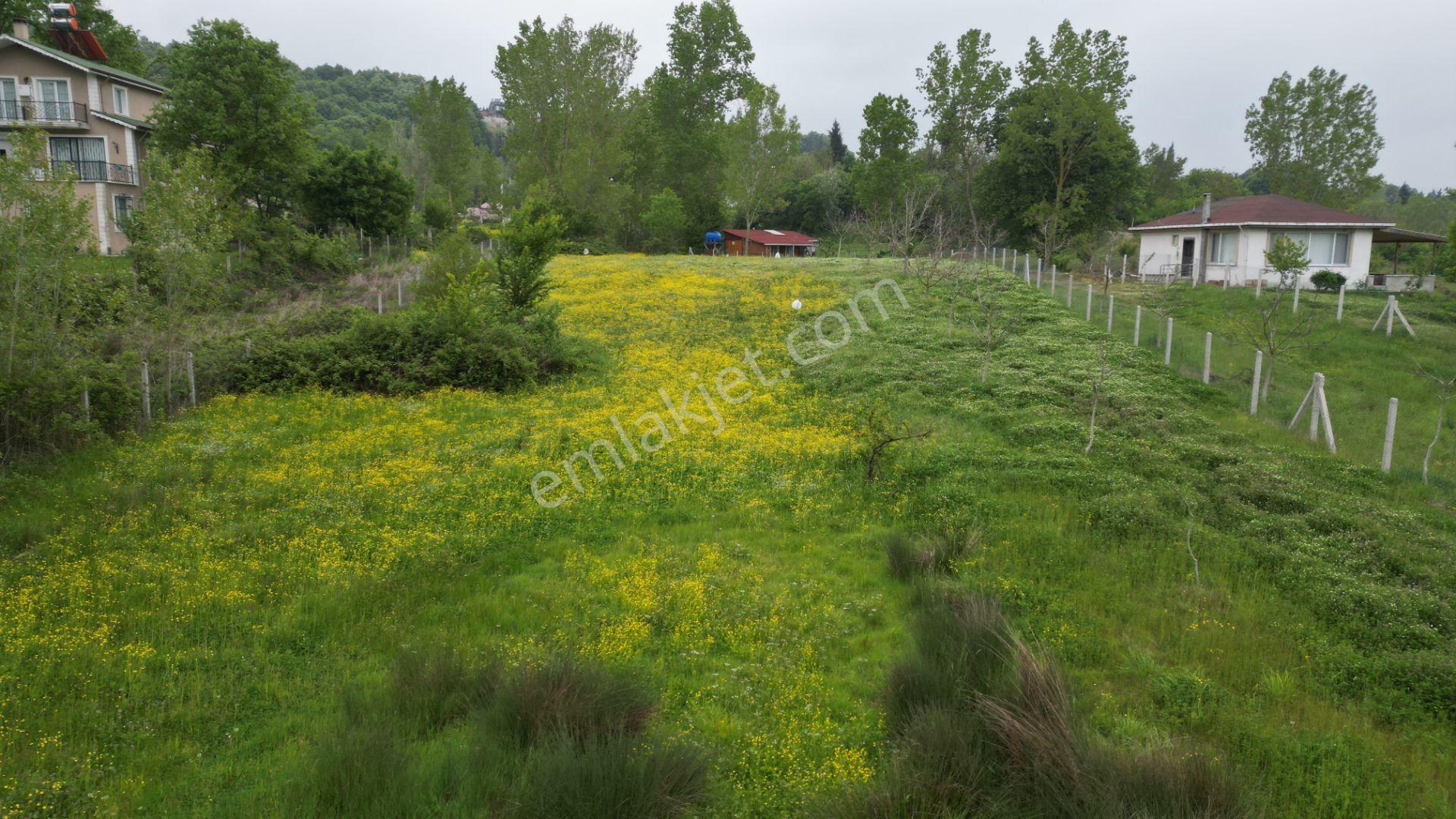 Kocaeli Karamürsel Çamdibi Satılık 593 M2 Hobi Bahçesi - Görsel 8