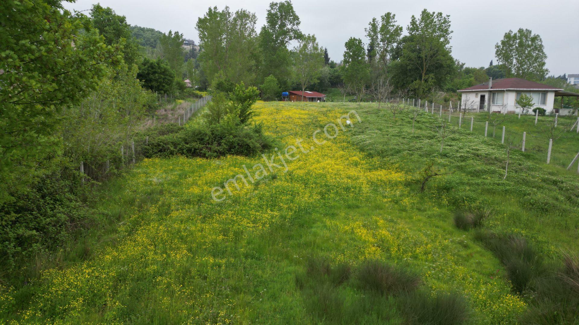 Kocaeli Karamürsel Çamdibi Satılık 593 M2 Hobi Bahçesi - Görsel 7