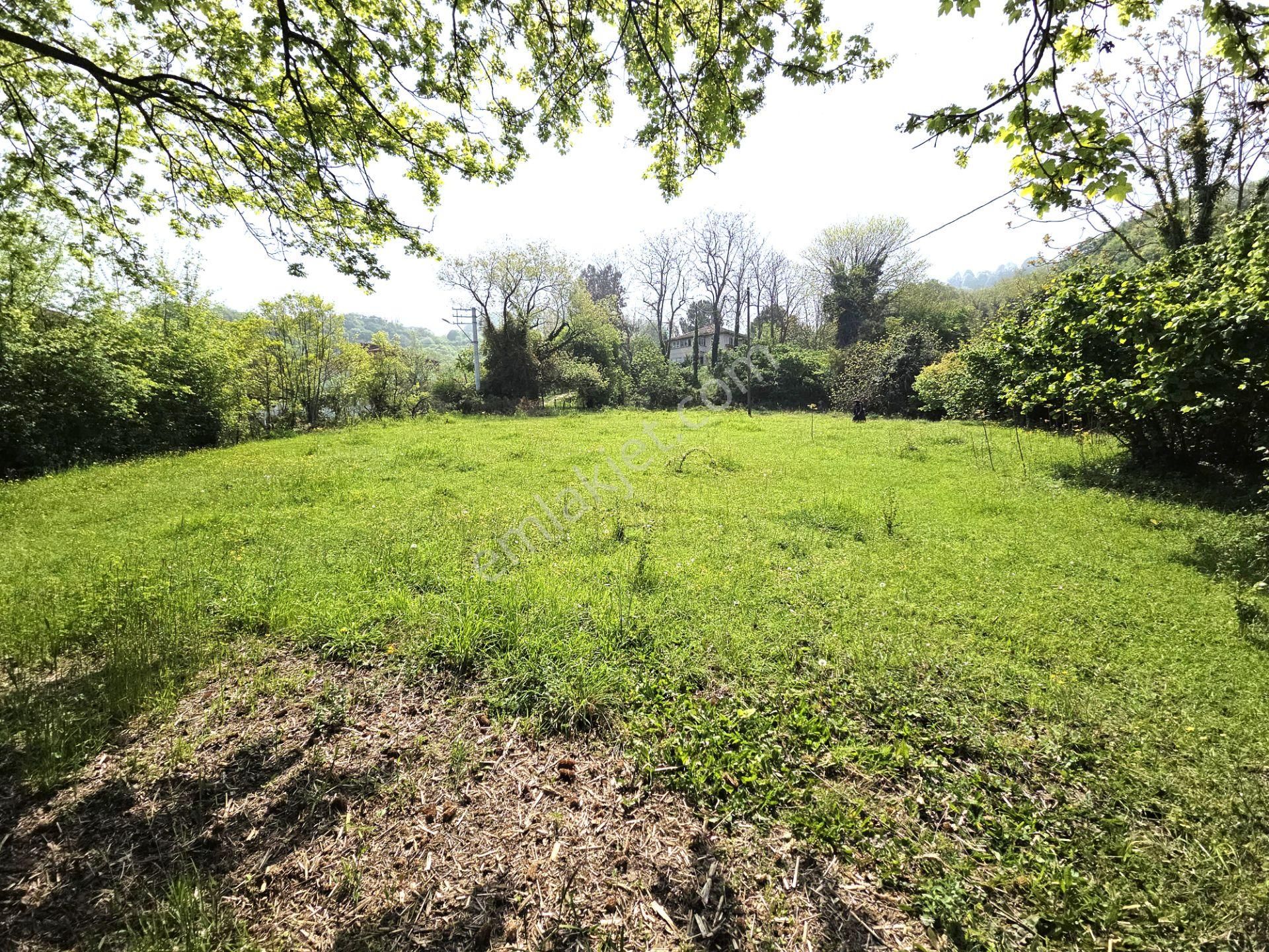 Arifiye Kemaliye'de %20 İmarlı 5.752 M2 Arsa