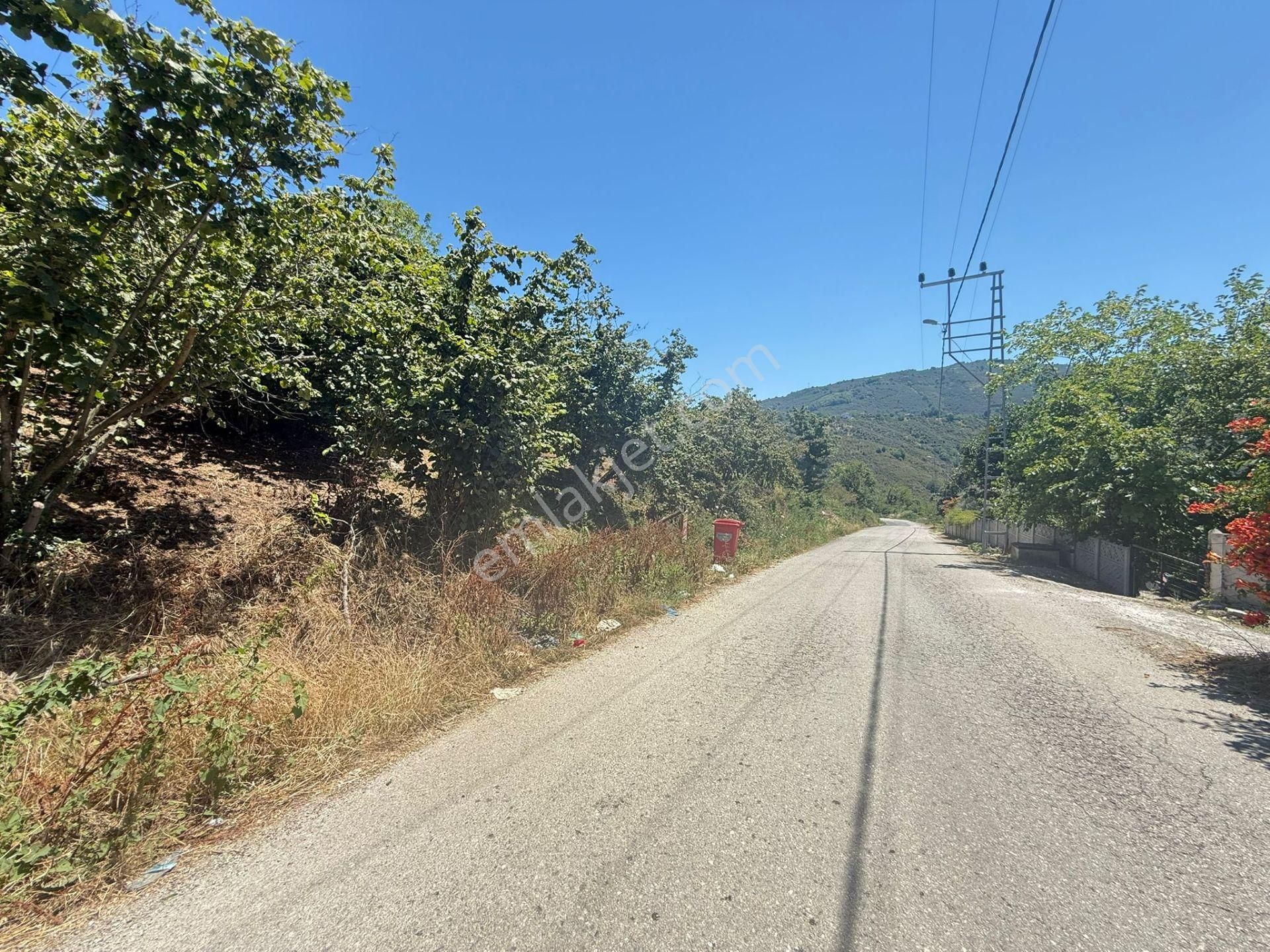 Bir Aylık Geçerli Fiyat!! 1345 M2 İmarlı Satılık Arsa