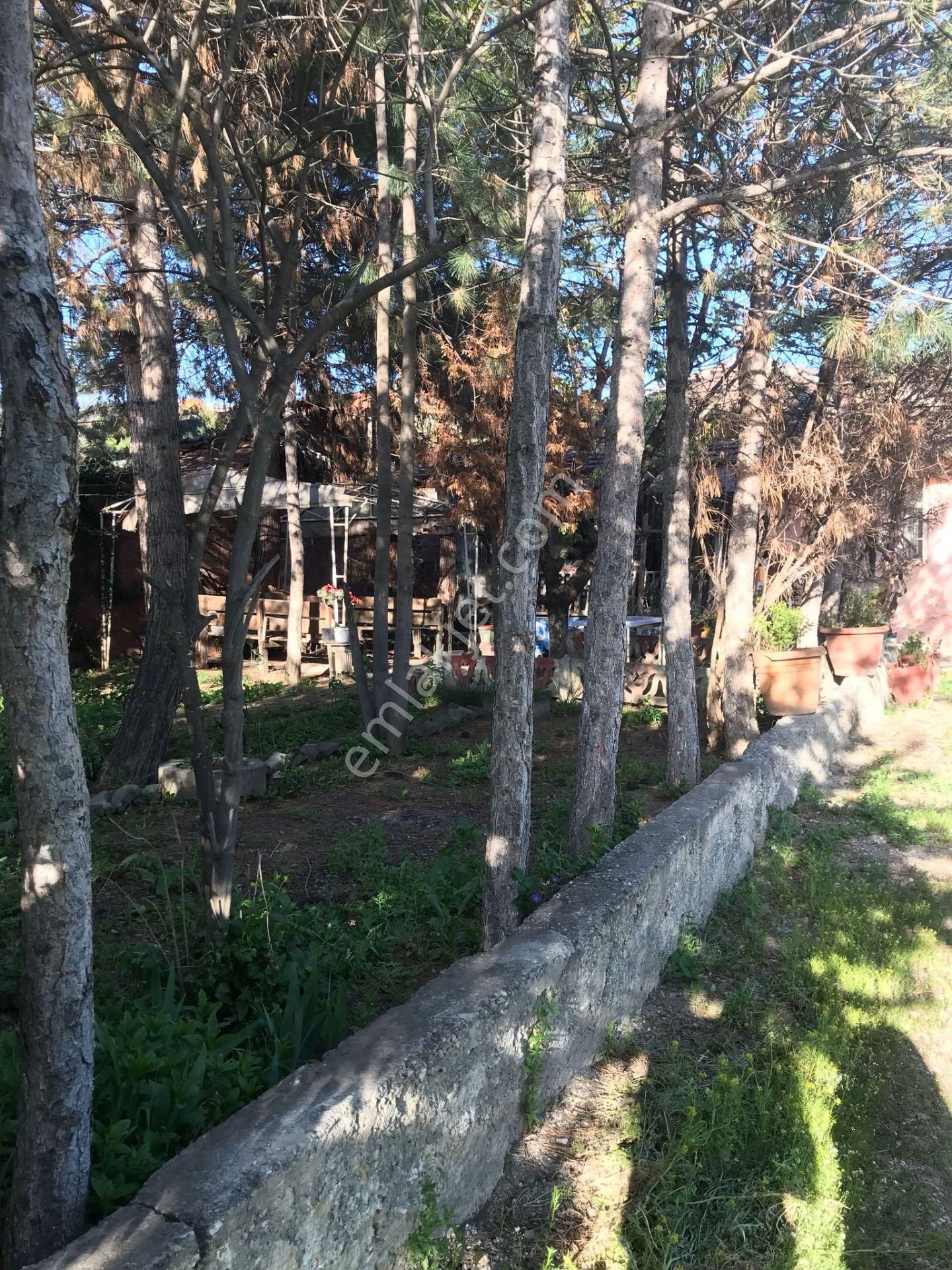 Sahibinden Turizm Otel Alanı İmarlı - Görsel 15