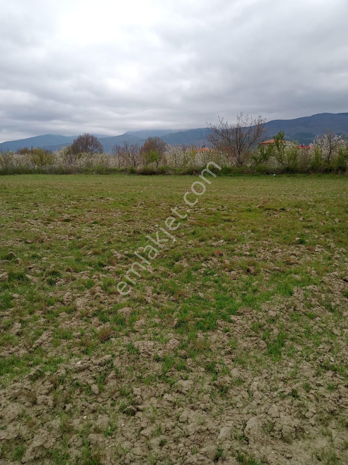 Afyon Sultandagı Tarla - Görsel 5